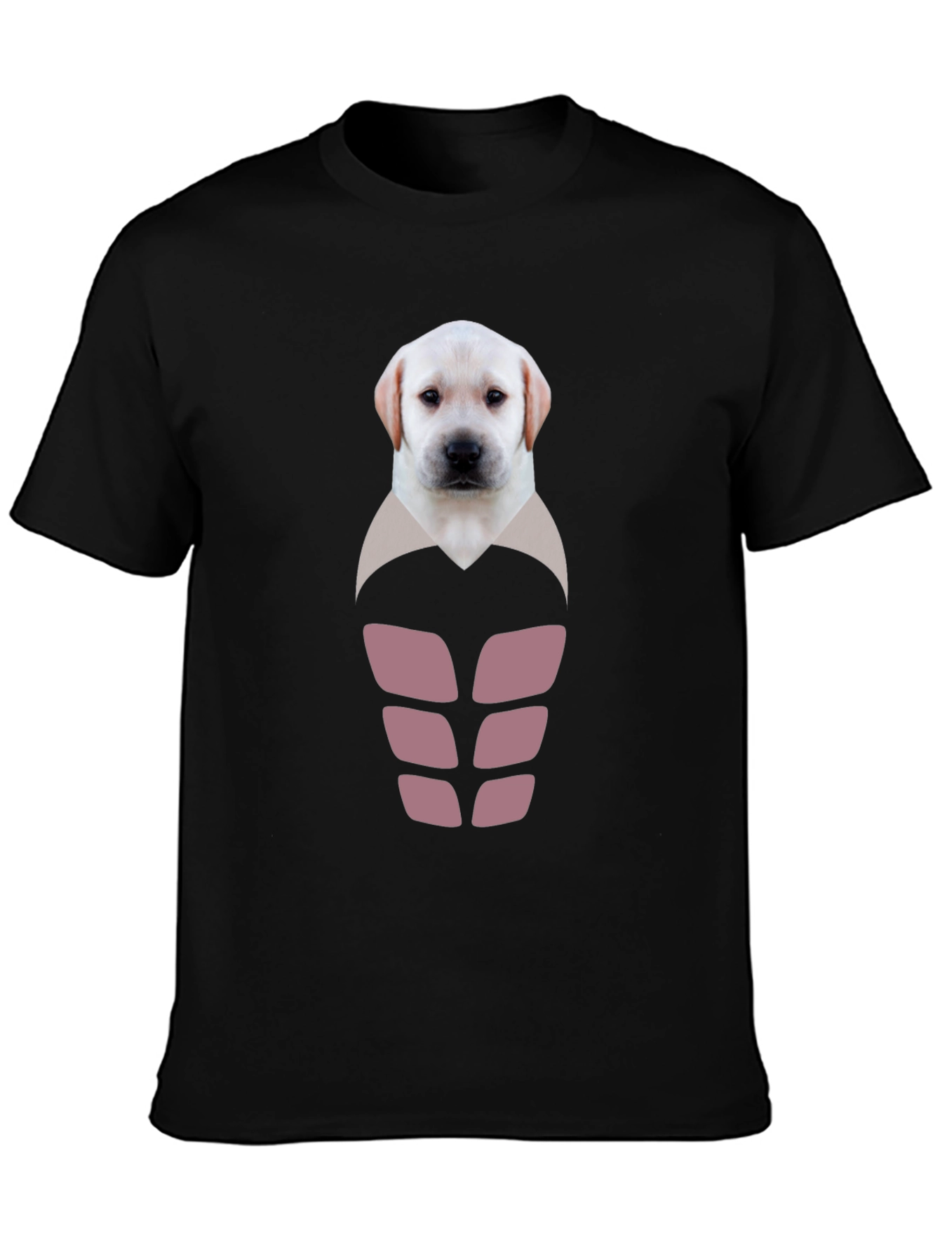 Labrador Puppy Six-Pack Graphic T-Shirt