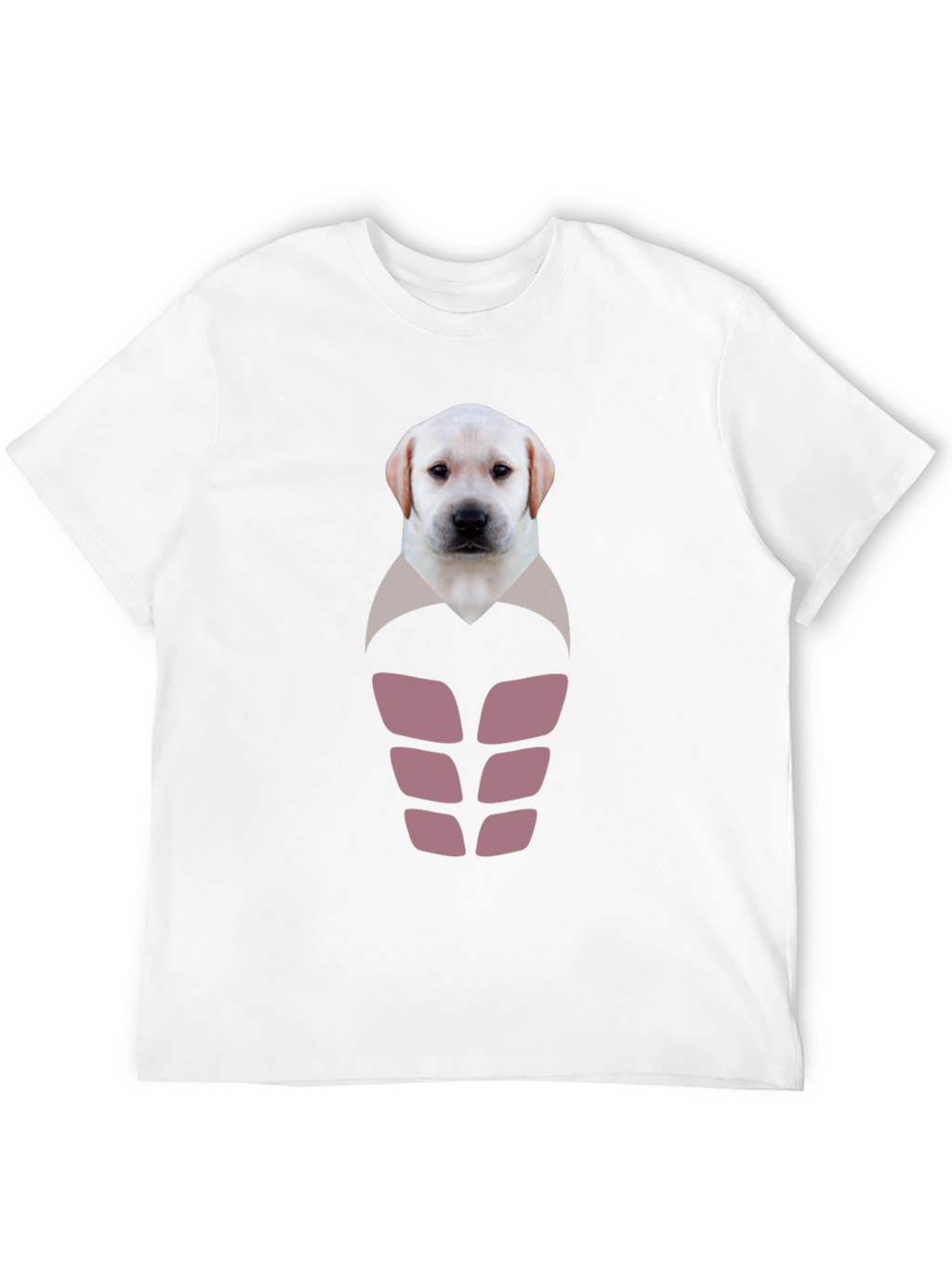 Labrador Puppy Six-Pack Graphic T-Shirt