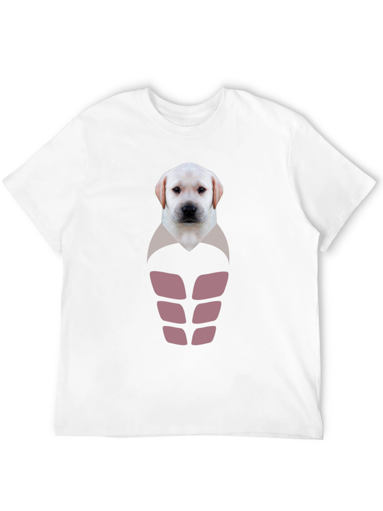 Labrador Puppy Six-Pack Graphic T-Shirt