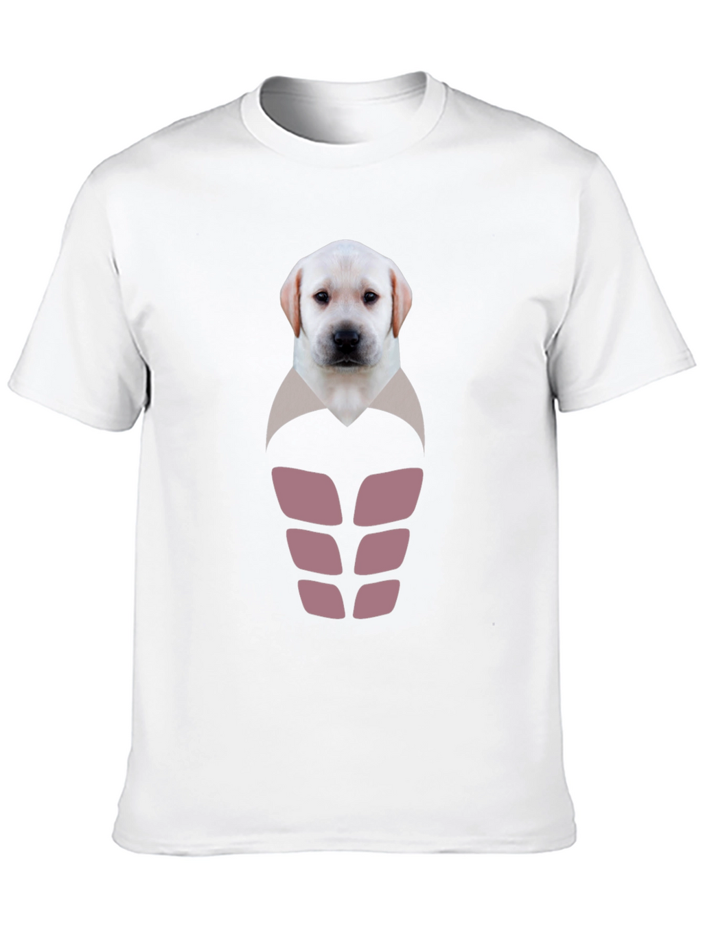 Labrador Puppy Six-Pack Graphic T-Shirt