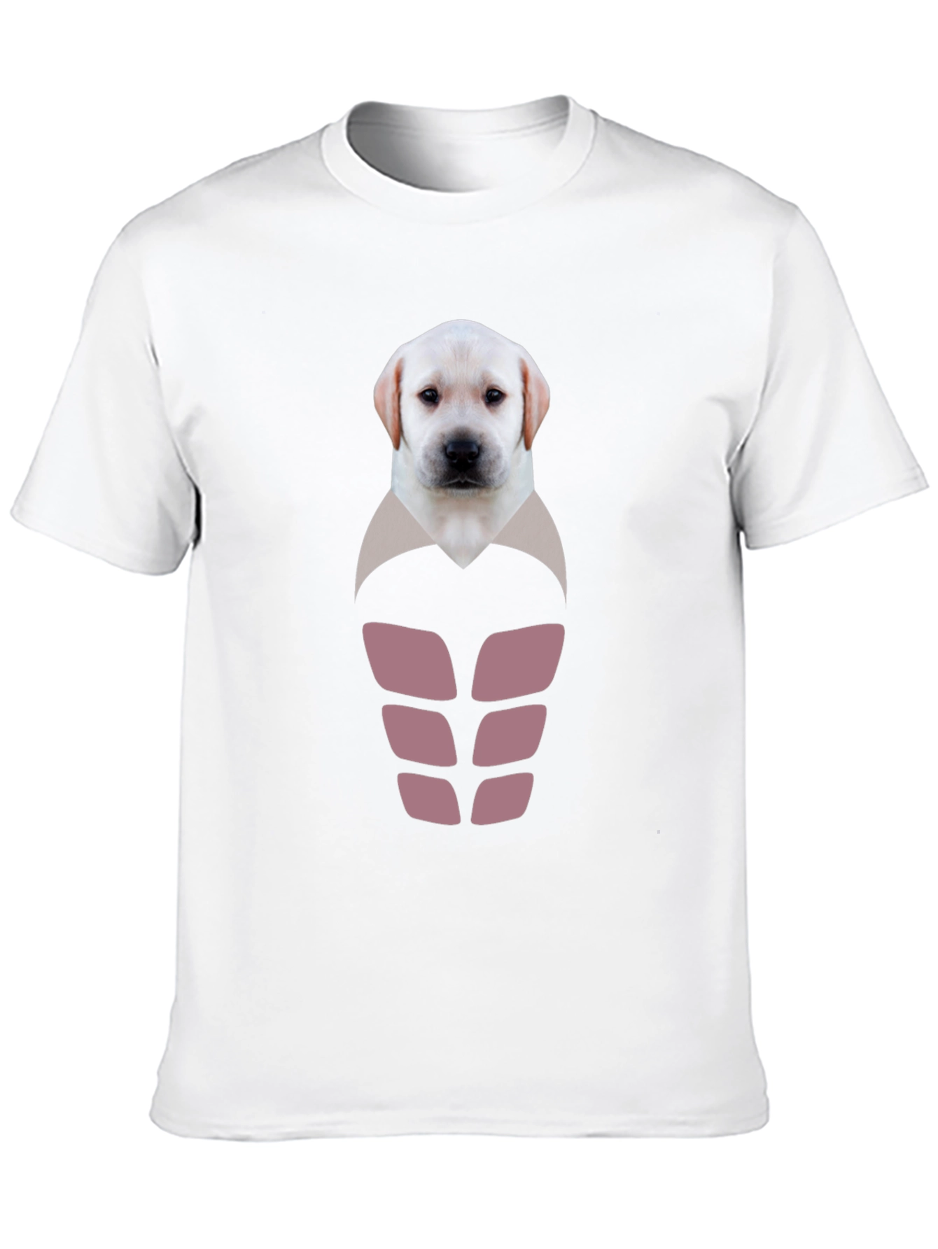 Labrador Puppy Six-Pack Graphic T-Shirt