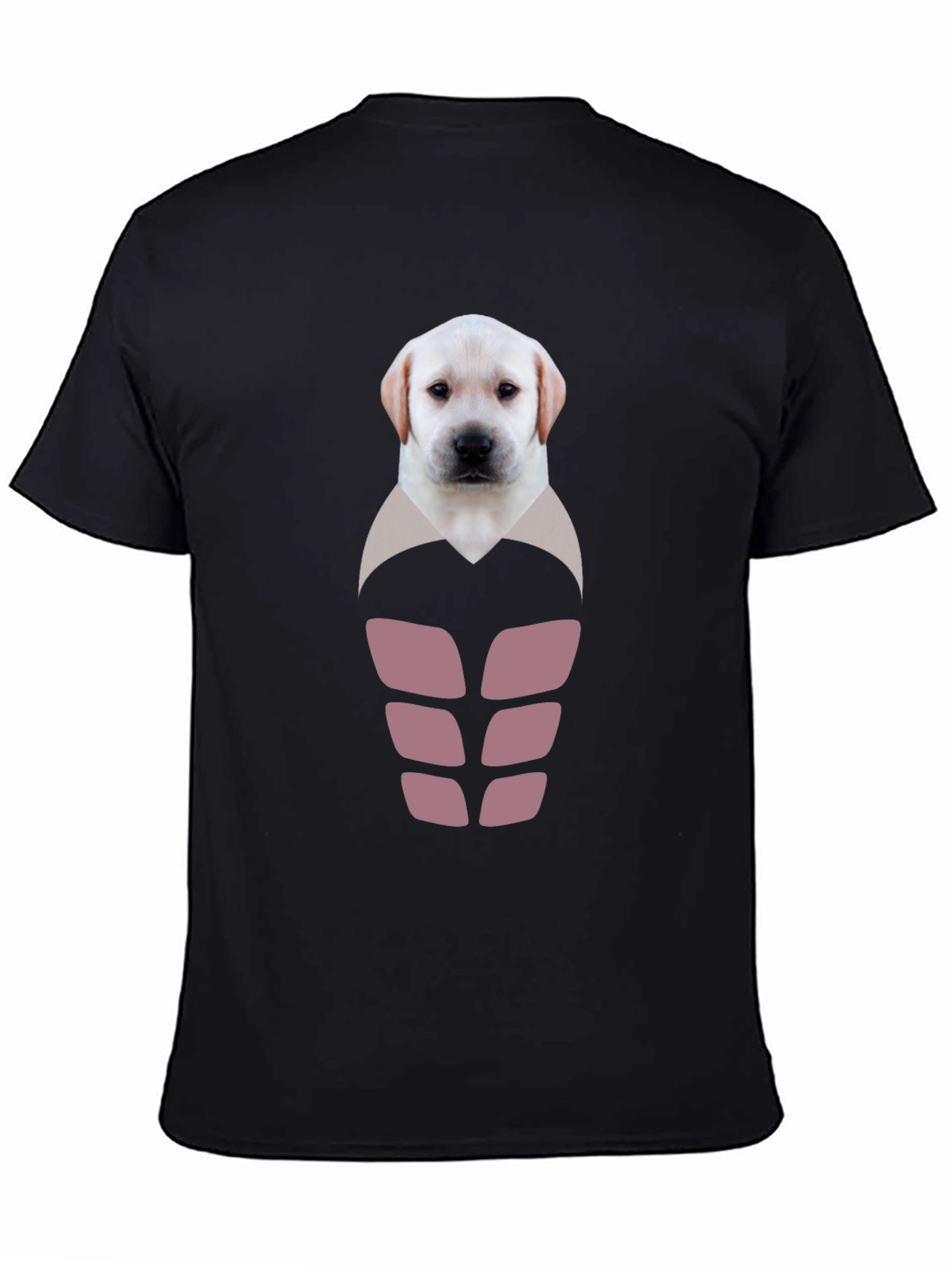 Labrador Puppy Six-Pack Graphic T-Shirt