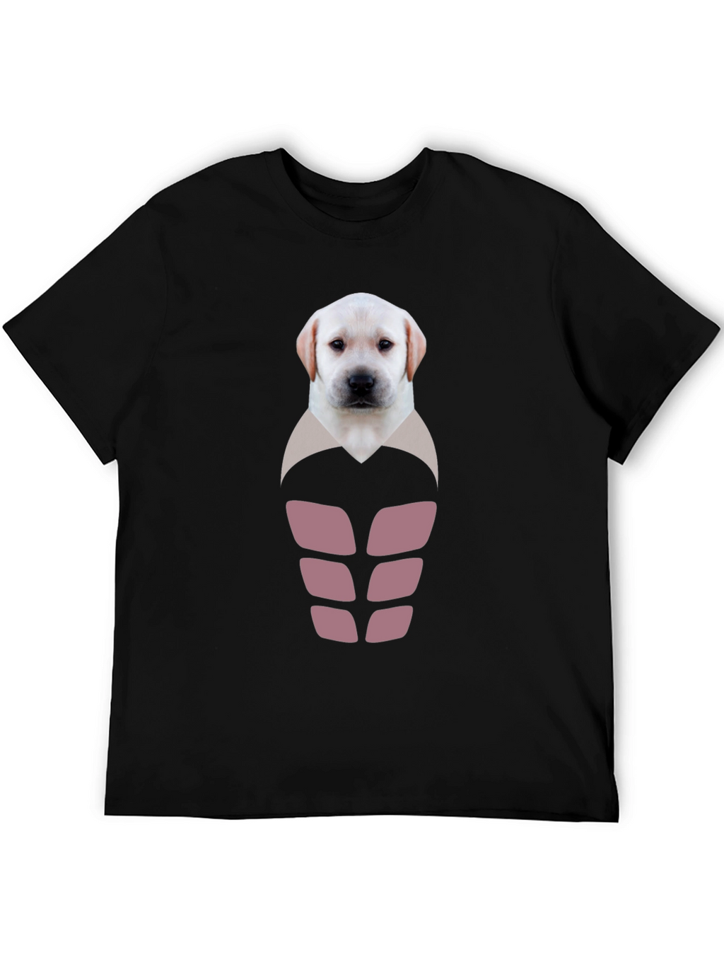 Labrador Puppy Six-Pack Graphic T-Shirt