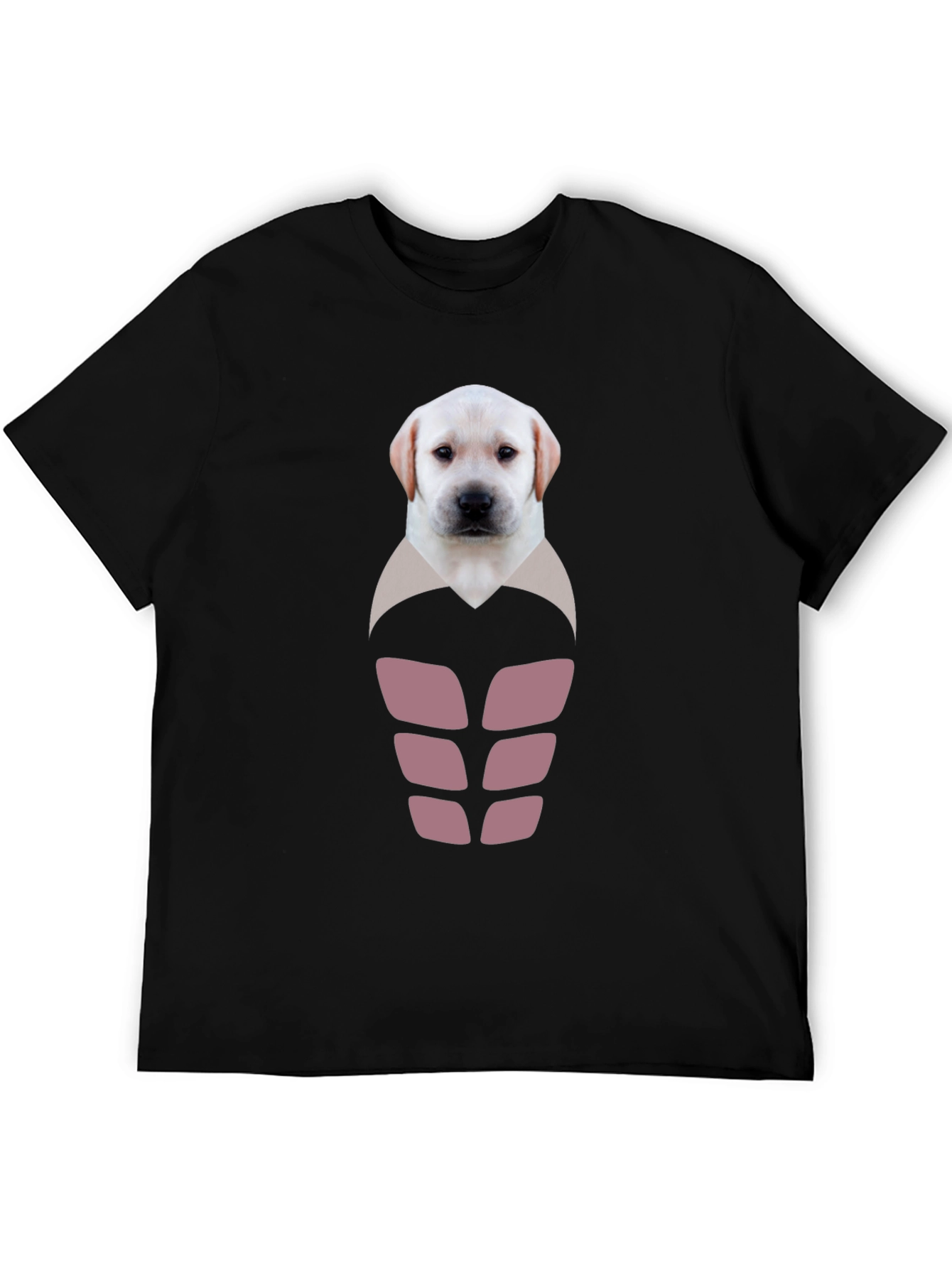 Labrador Puppy Six-Pack Graphic T-Shirt