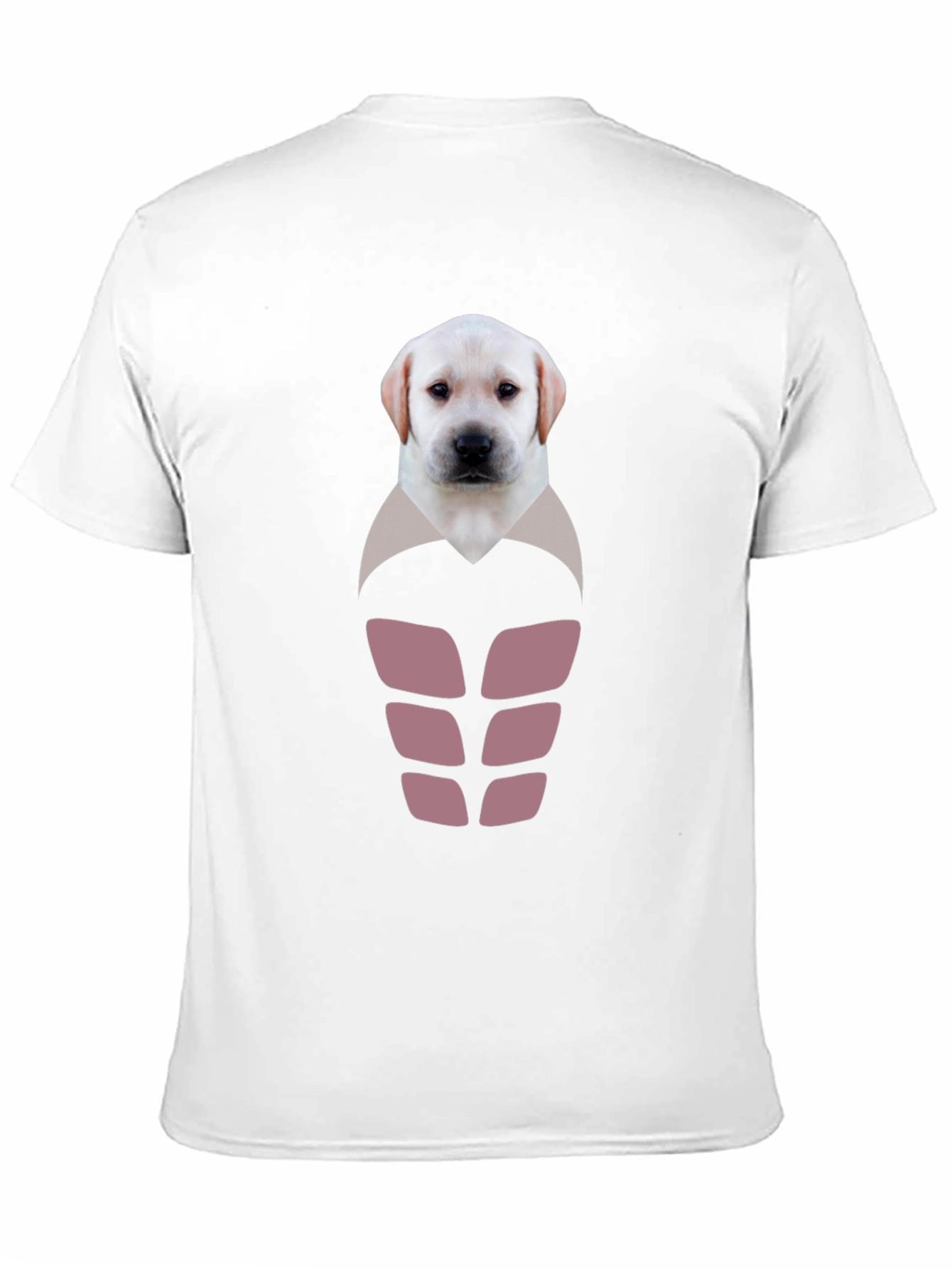Labrador Puppy Six-Pack Graphic T-Shirt