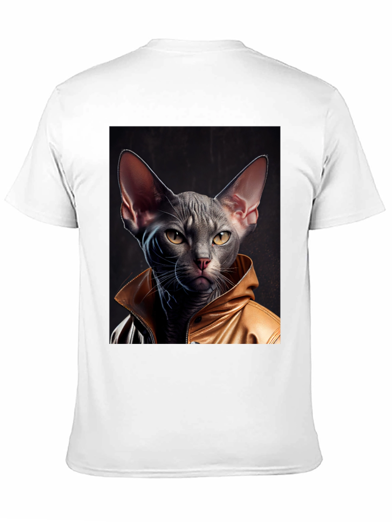 Cool Cat in Jacket Graphic T-Shirt