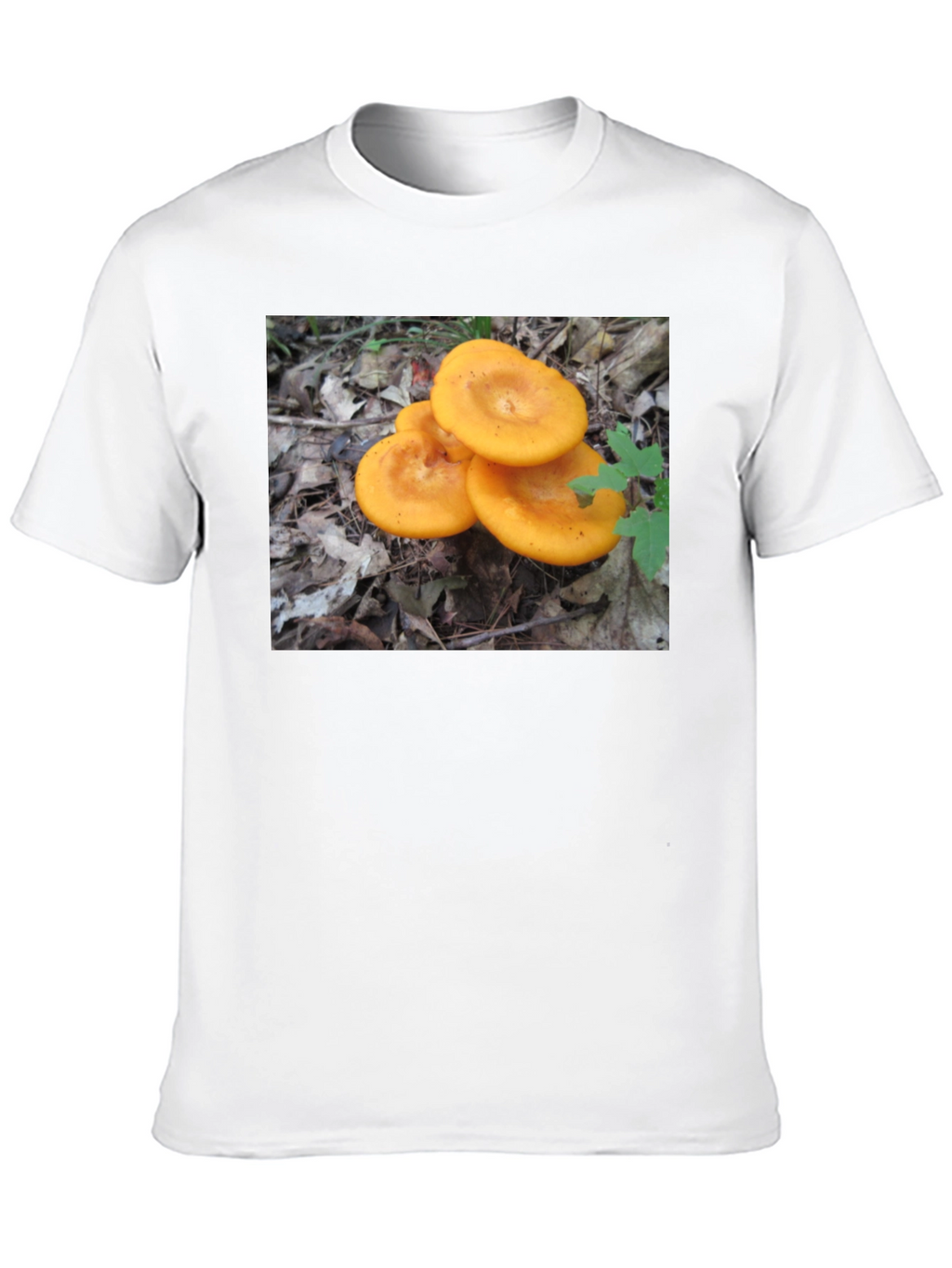 Mushroom T-Shirt - Fun Graphic Tee