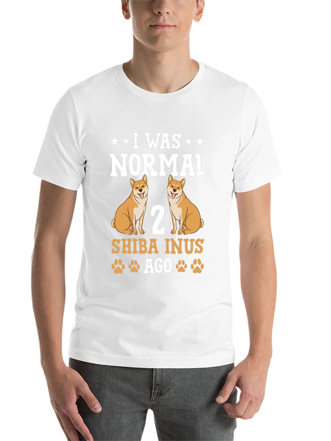 I Was Normal 2 Shiba Inus Ago T-Shirt