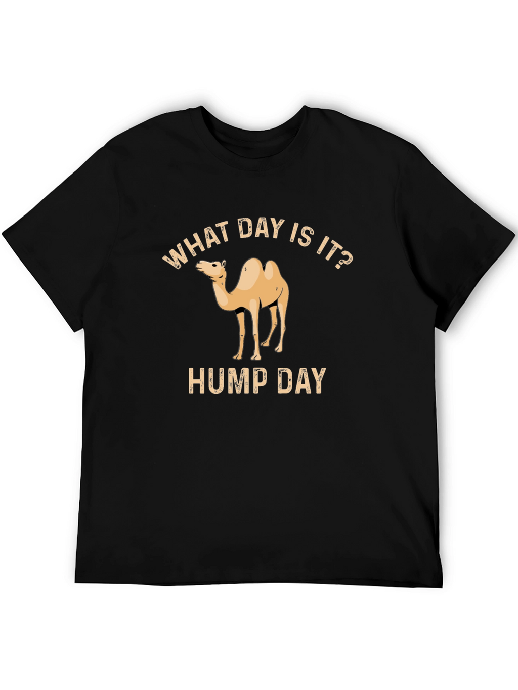 What Day Is It? Hump Day T-Shirt