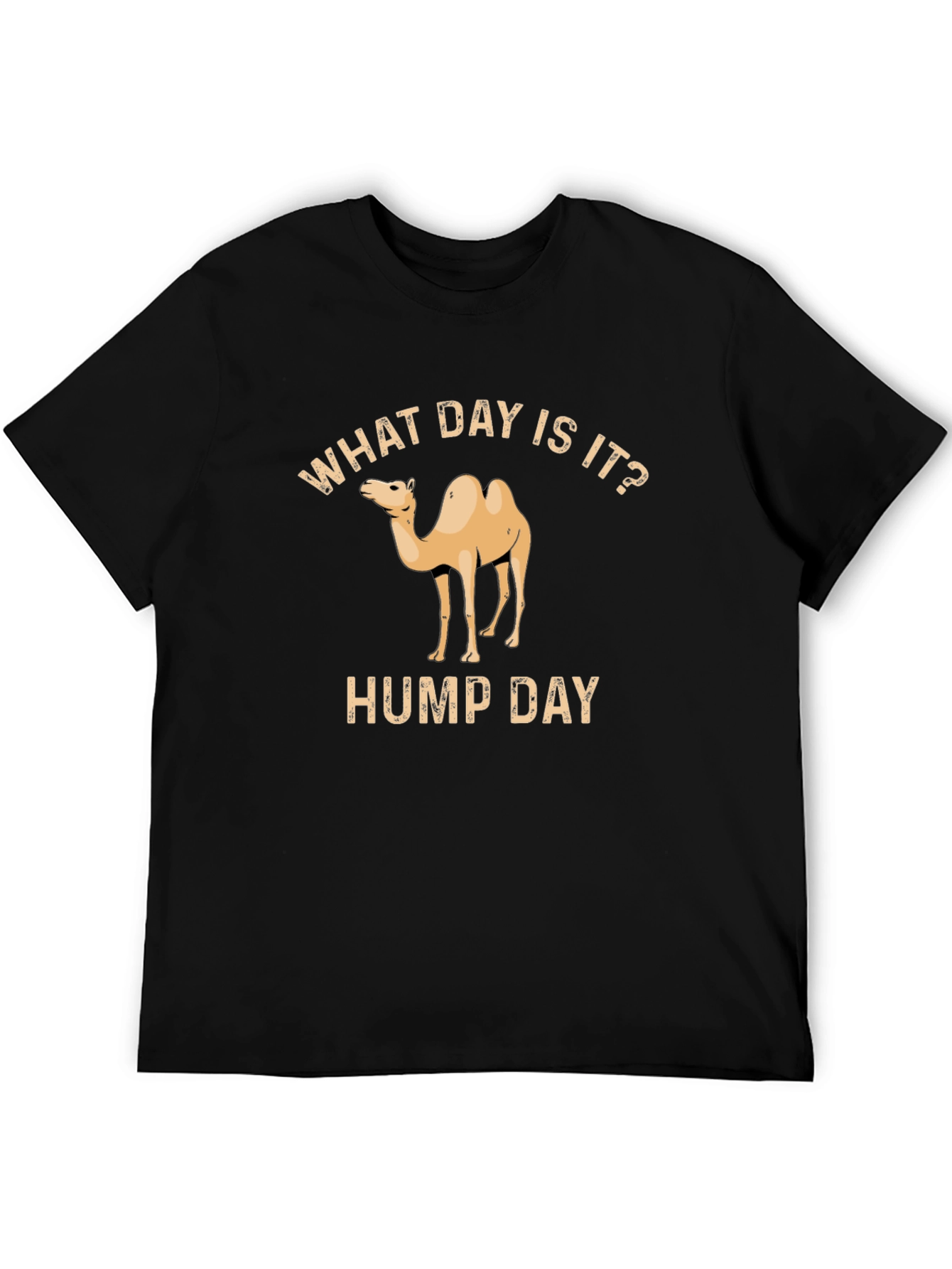 What Day Is It? Hump Day T-Shirt