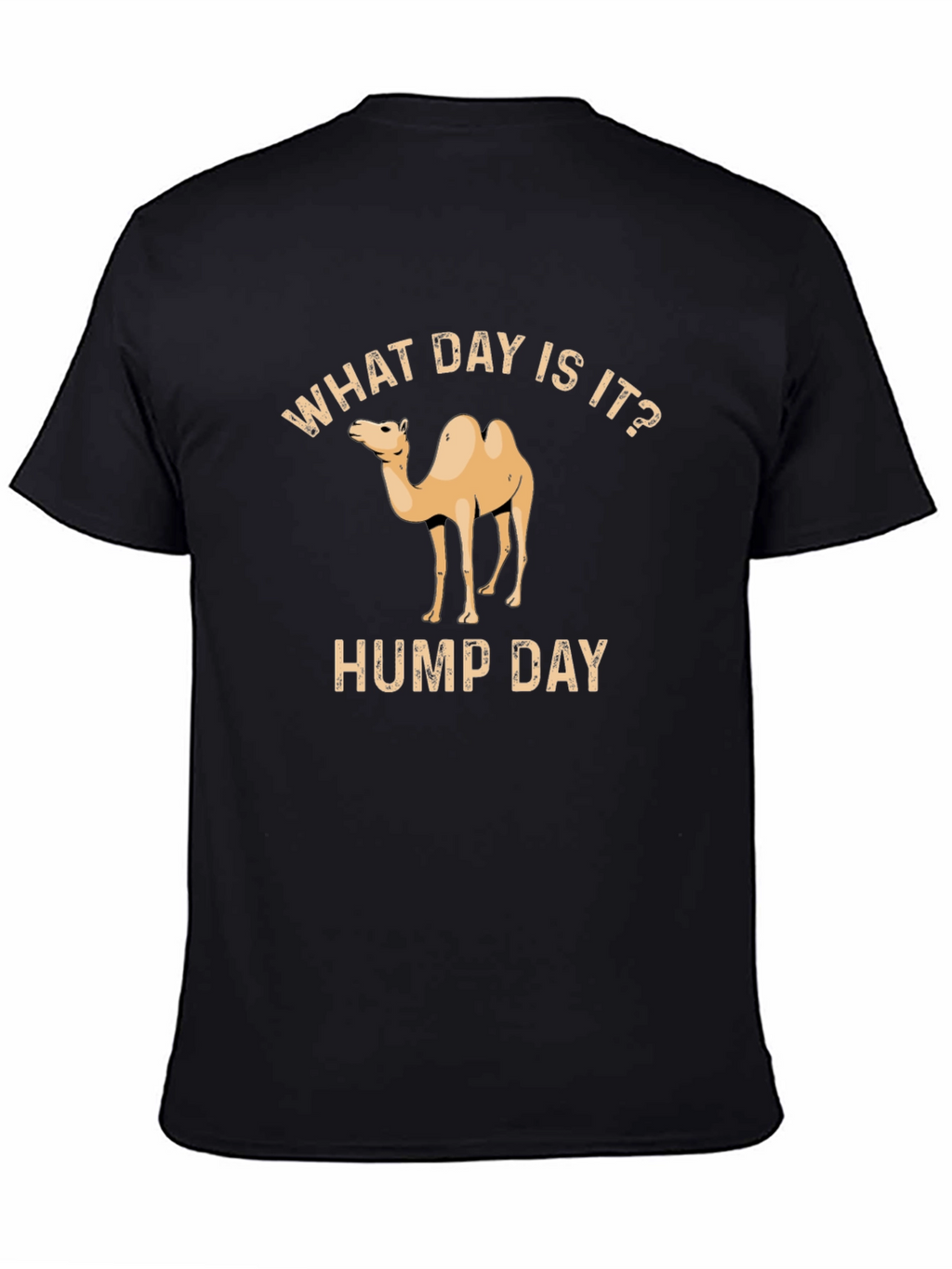 What Day Is It? Hump Day T-Shirt
