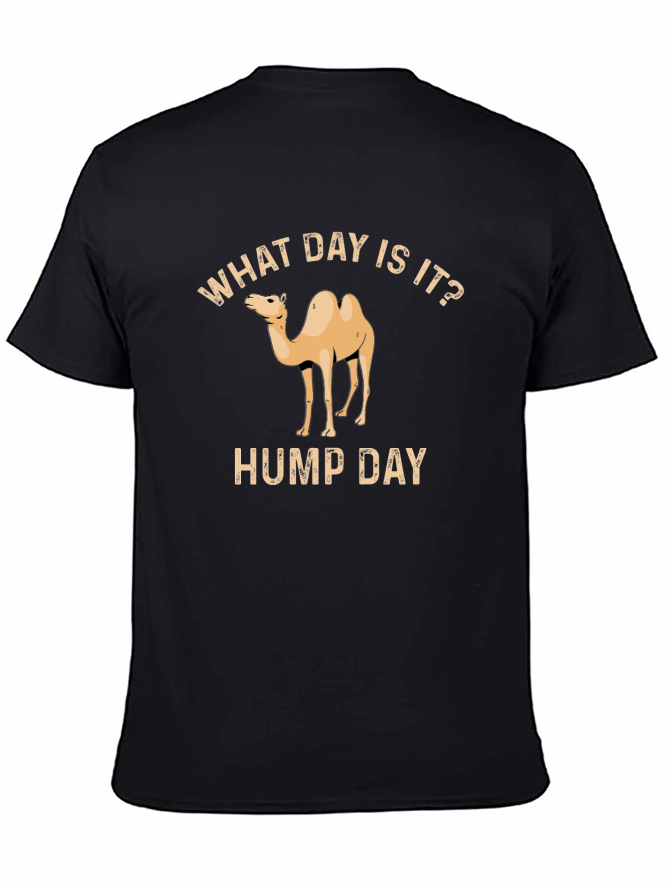 What Day Is It? Hump Day T-Shirt