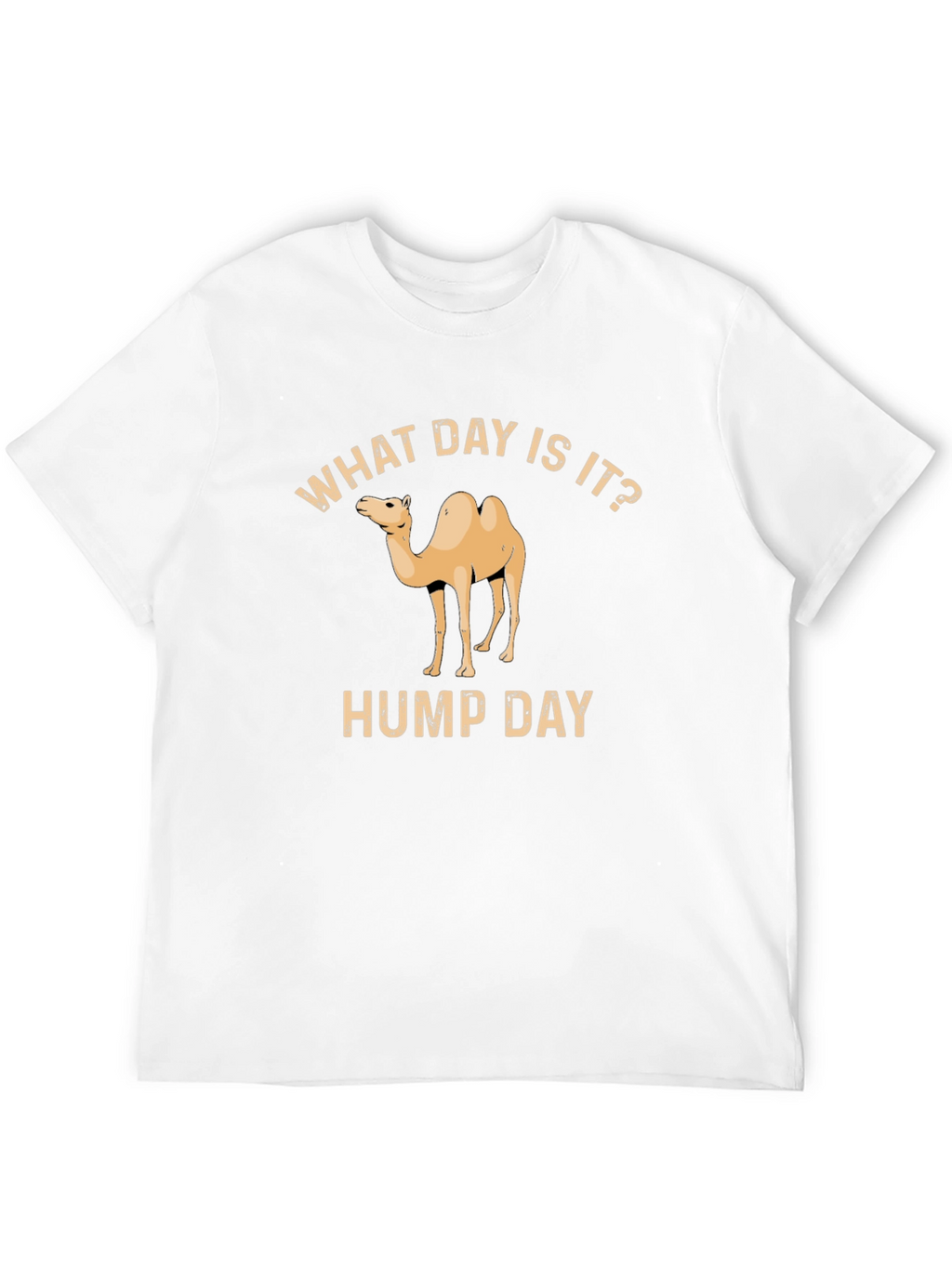 What Day Is It? Hump Day T-Shirt