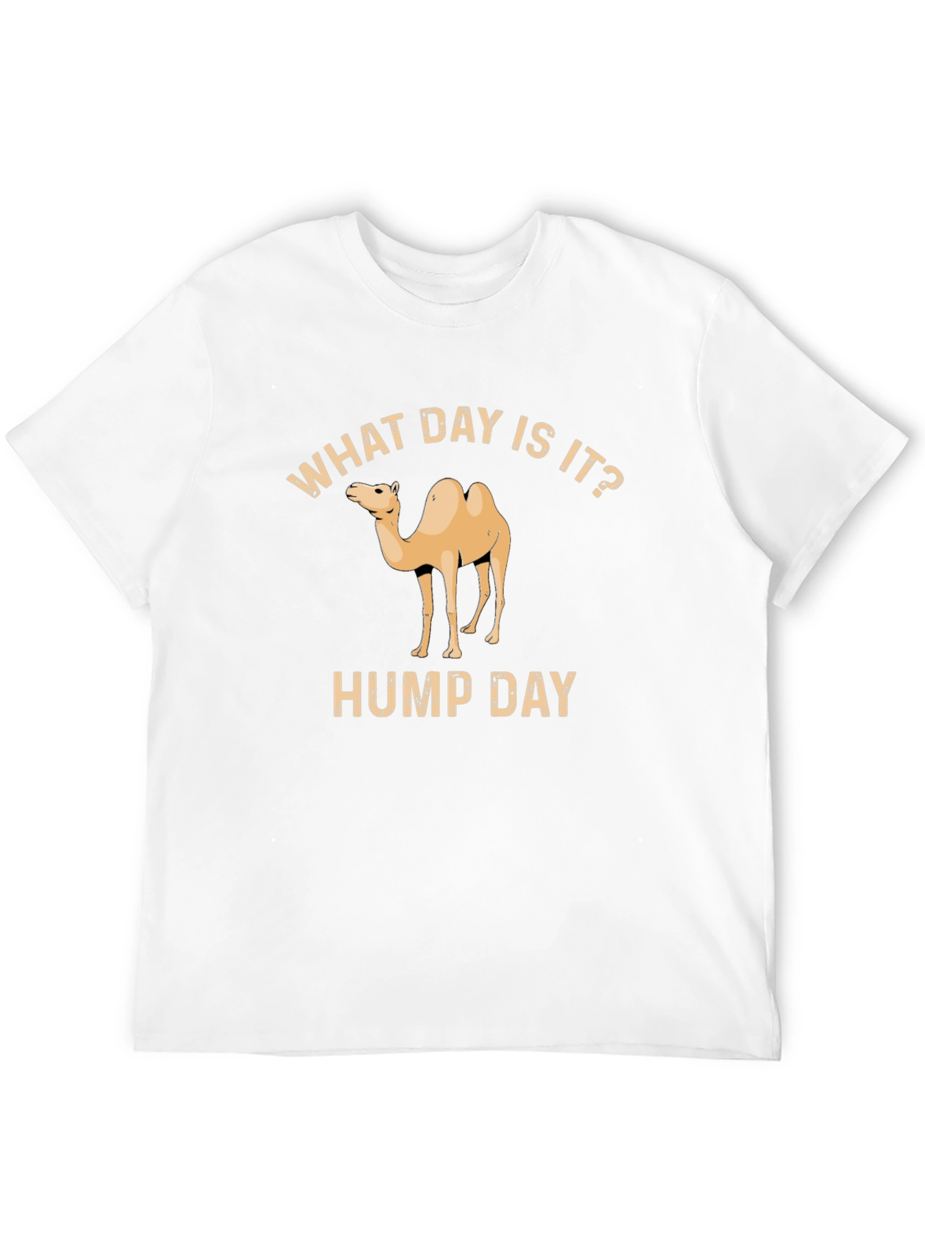 What Day Is It? Hump Day T-Shirt