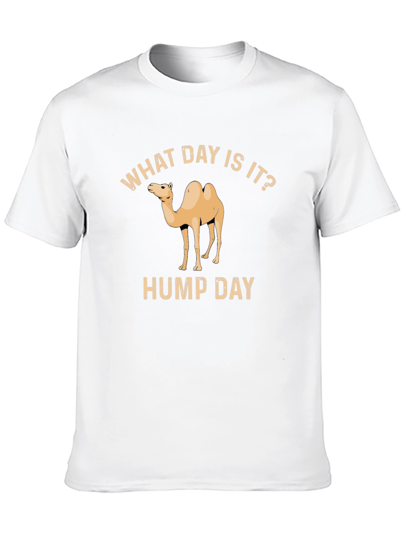 What Day Is It? Hump Day T-Shirt