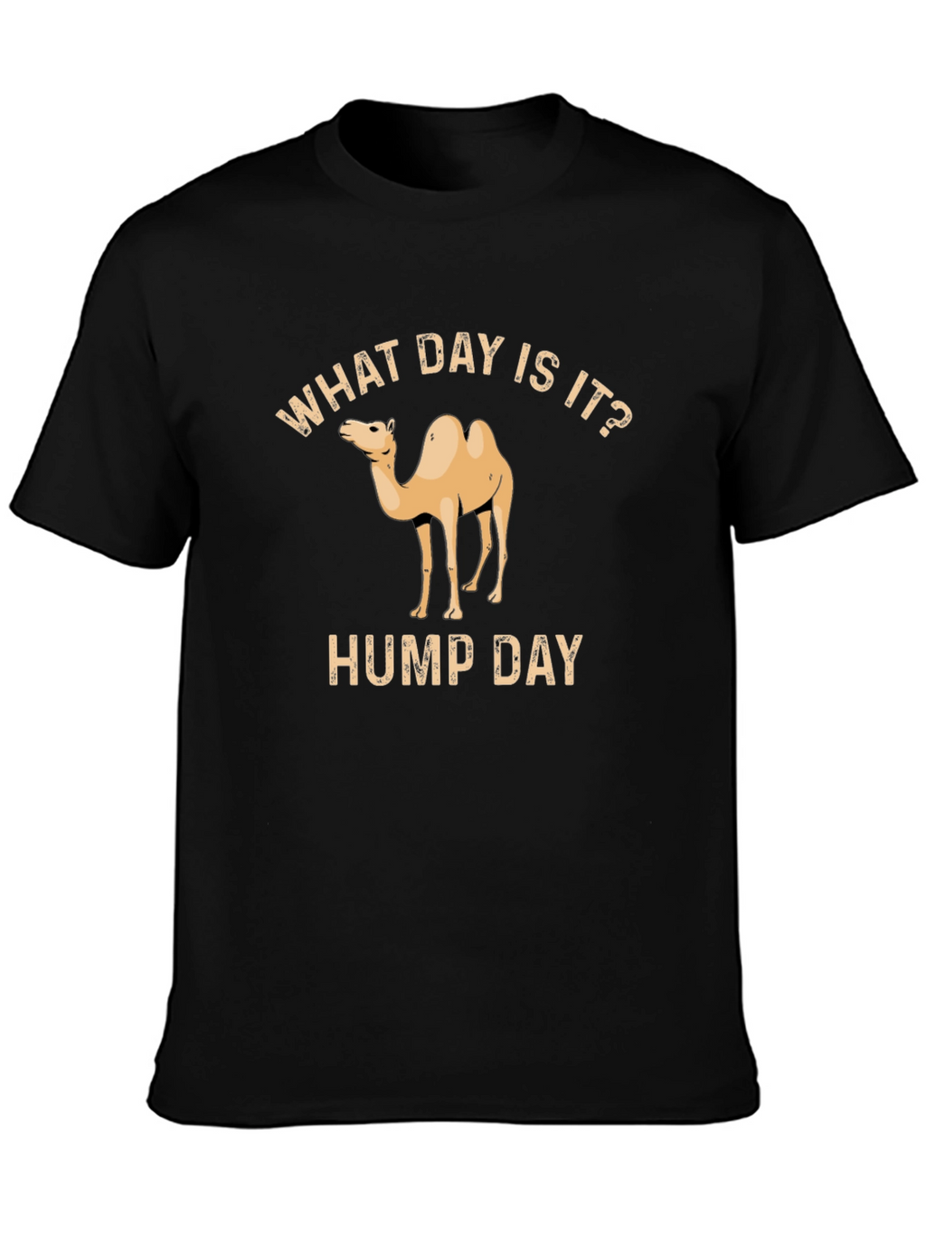 What Day Is It? Hump Day T-Shirt