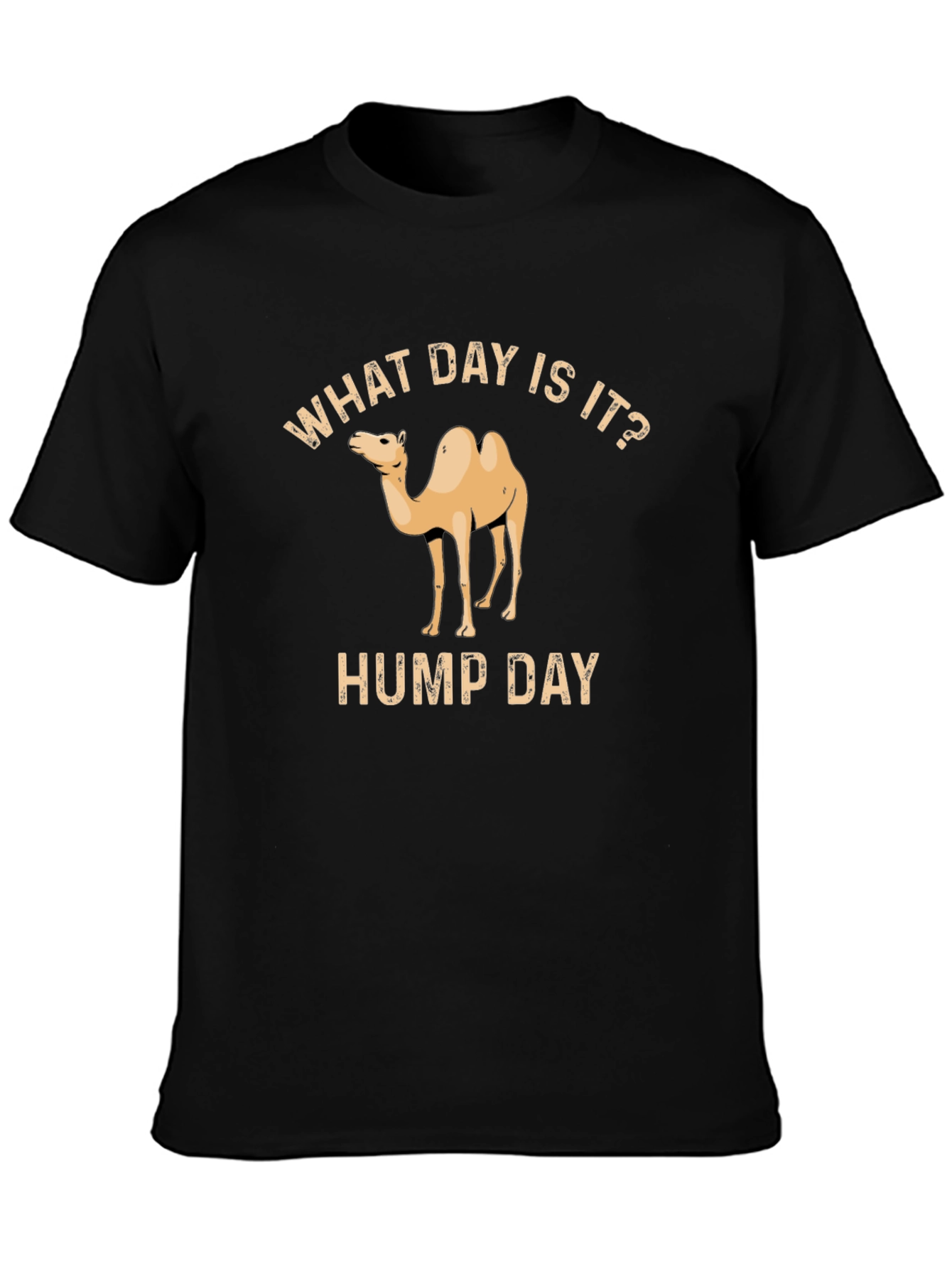 What Day Is It? Hump Day T-Shirt