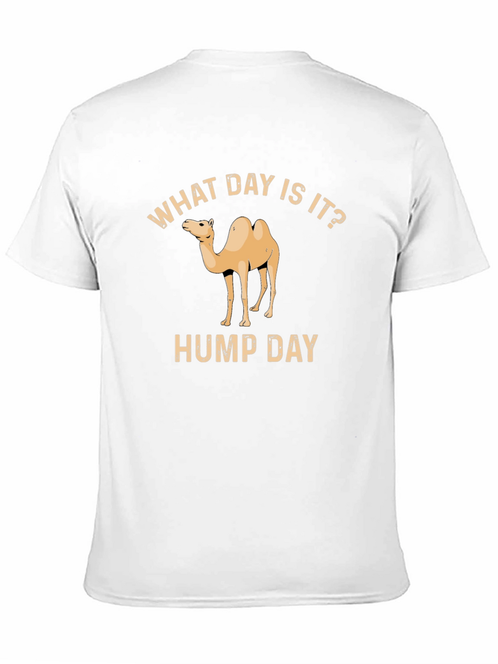 What Day Is It? Hump Day T-Shirt