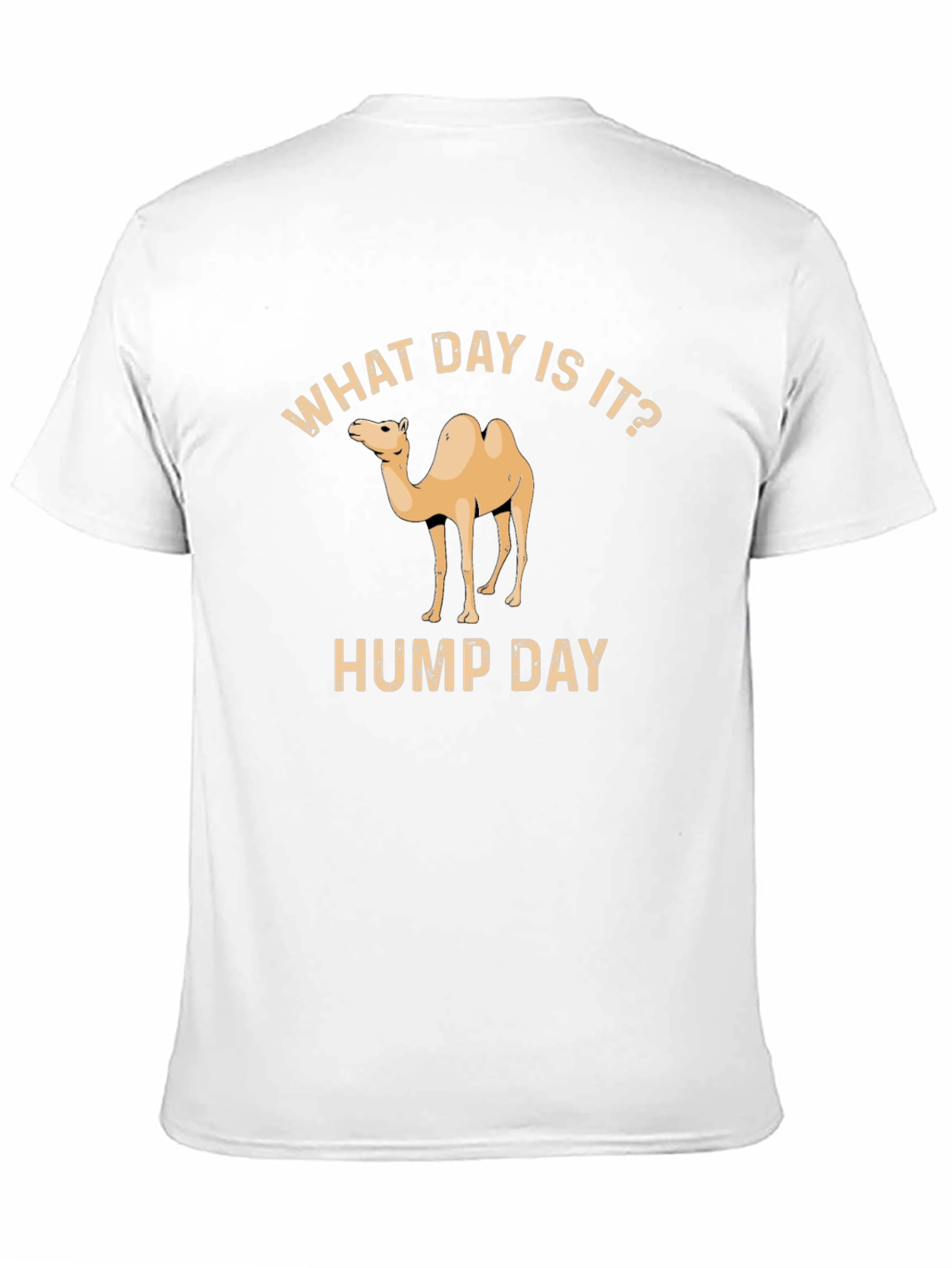 What Day Is It? Hump Day T-Shirt