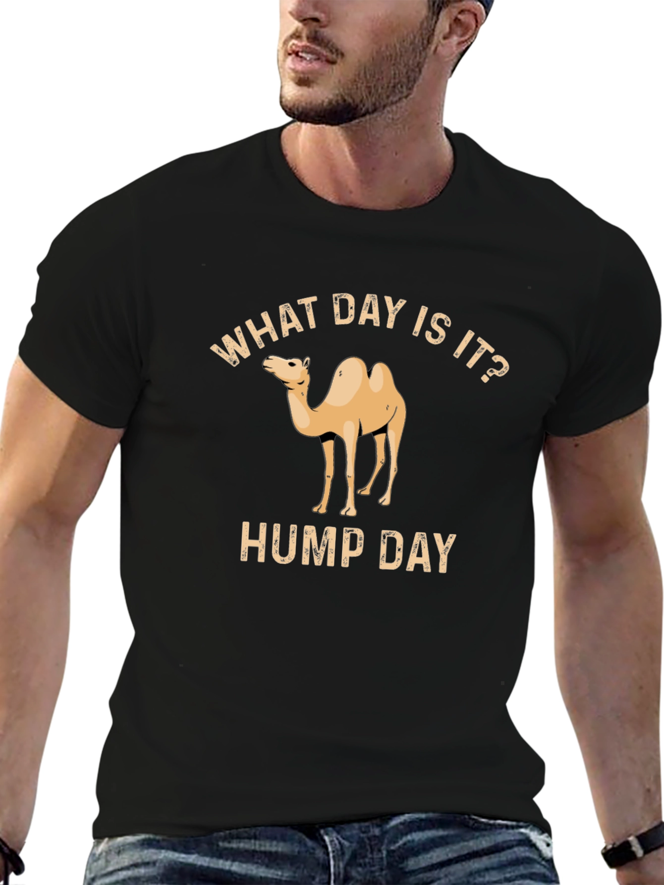 What Day Is It? Hump Day T-Shirt
