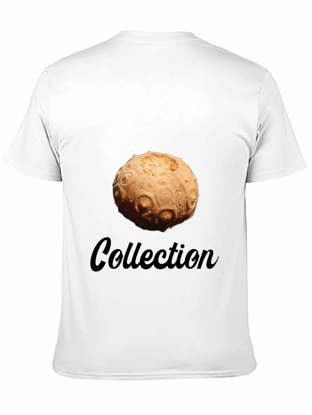 Sea Urchin Collection T-Shirt