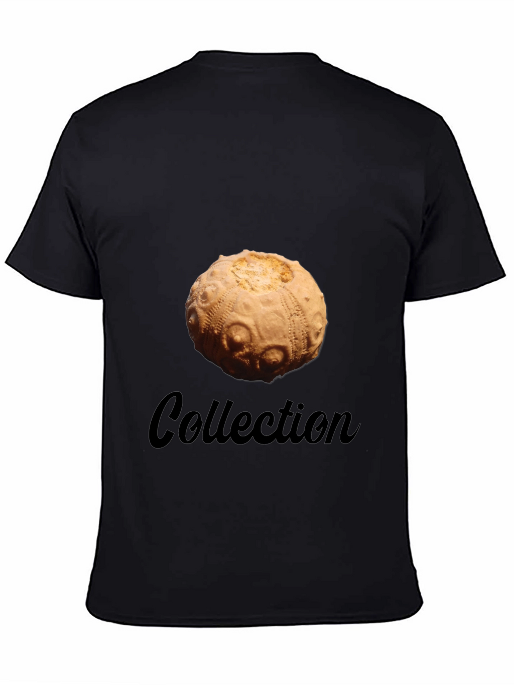 Sea Urchin Collection T-Shirt