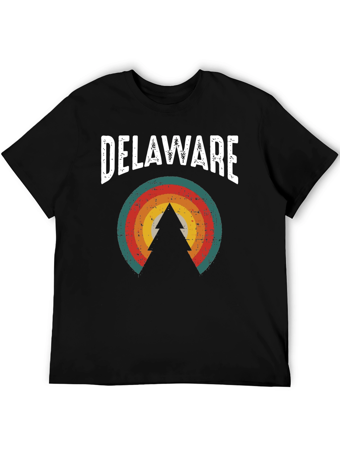 Delaware Retro Graphic Tee