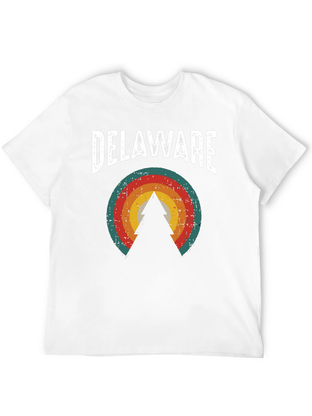 Delaware Retro Graphic Tee