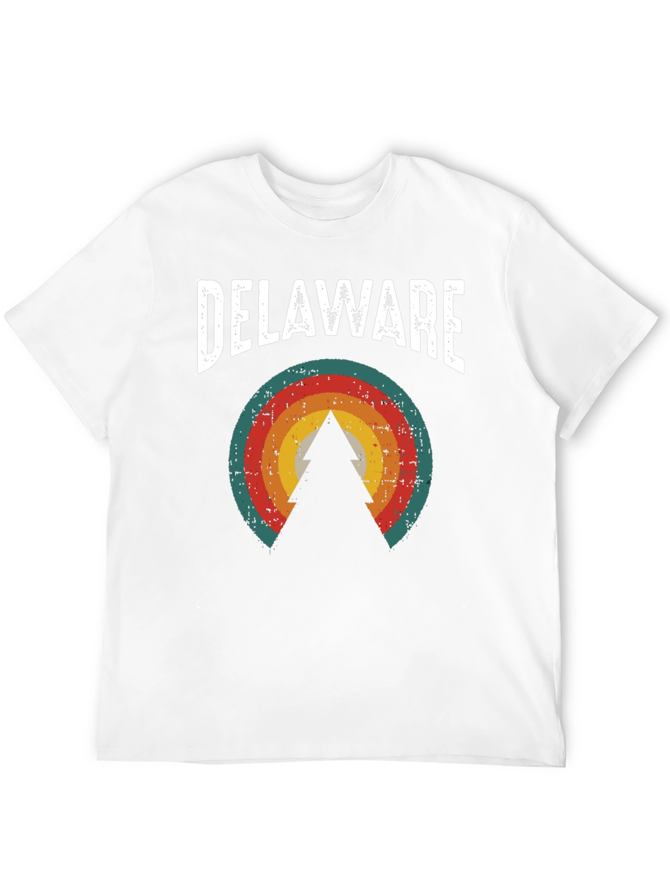 Delaware Retro Graphic Tee