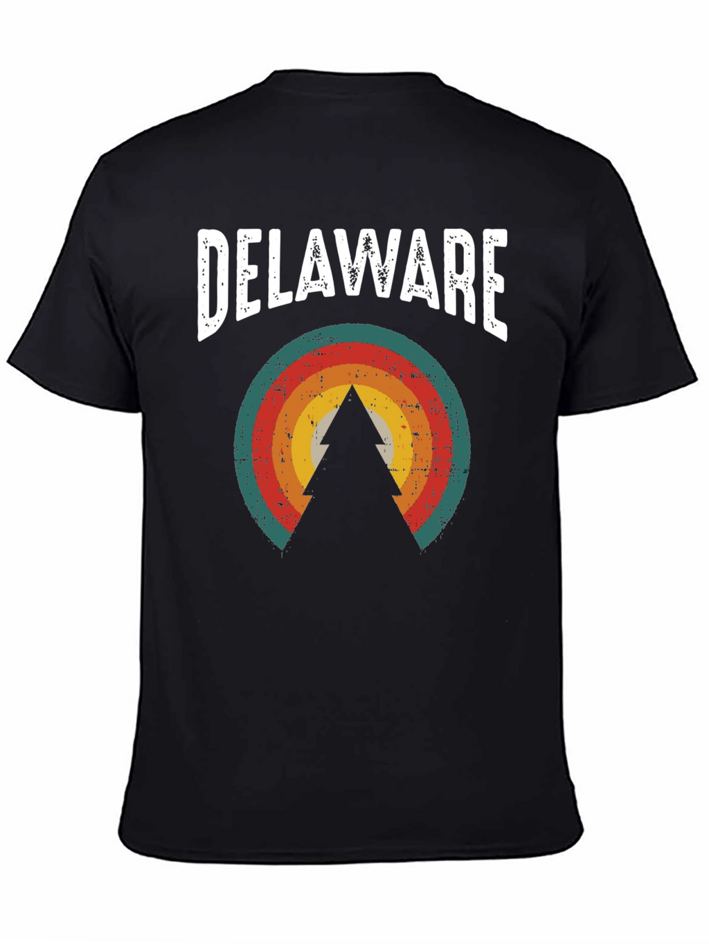 Delaware Retro Graphic Tee