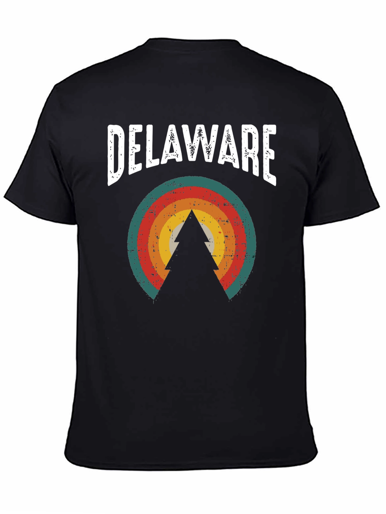 Delaware Retro Graphic Tee