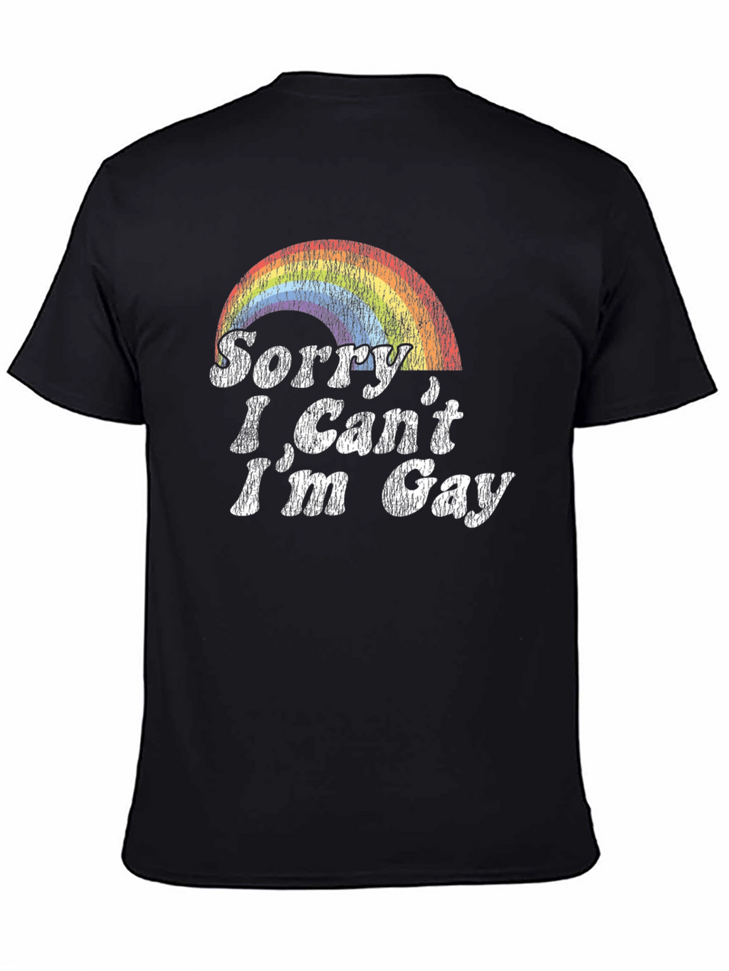 Sorry I Cant Im Gay Rainbow T-Shirt