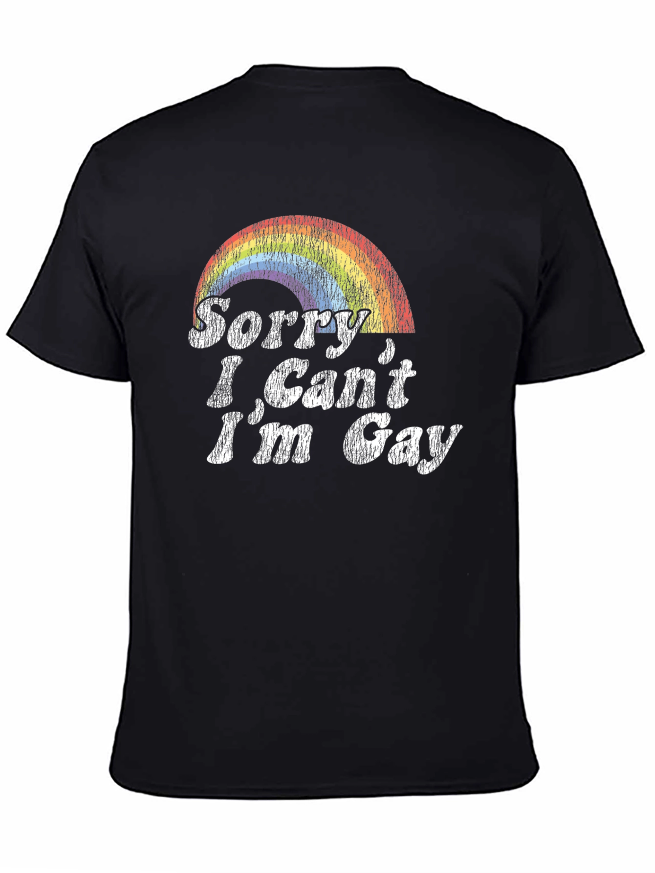 Sorry I Cant Im Gay Rainbow T-Shirt