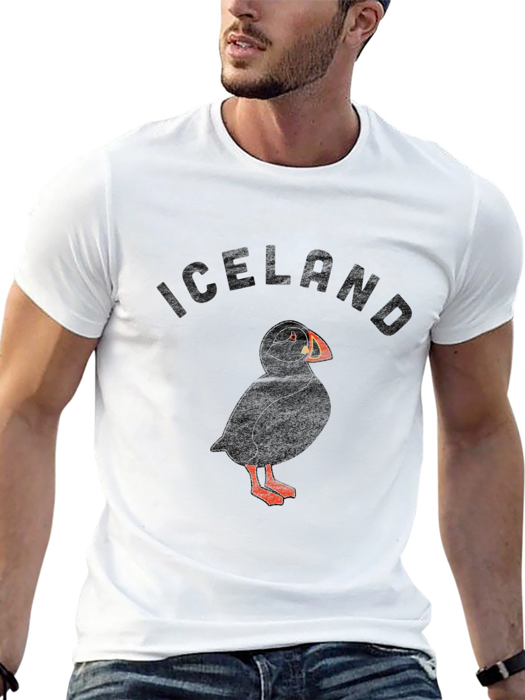 Iceland Puffin Graphic T-Shirt - Black
