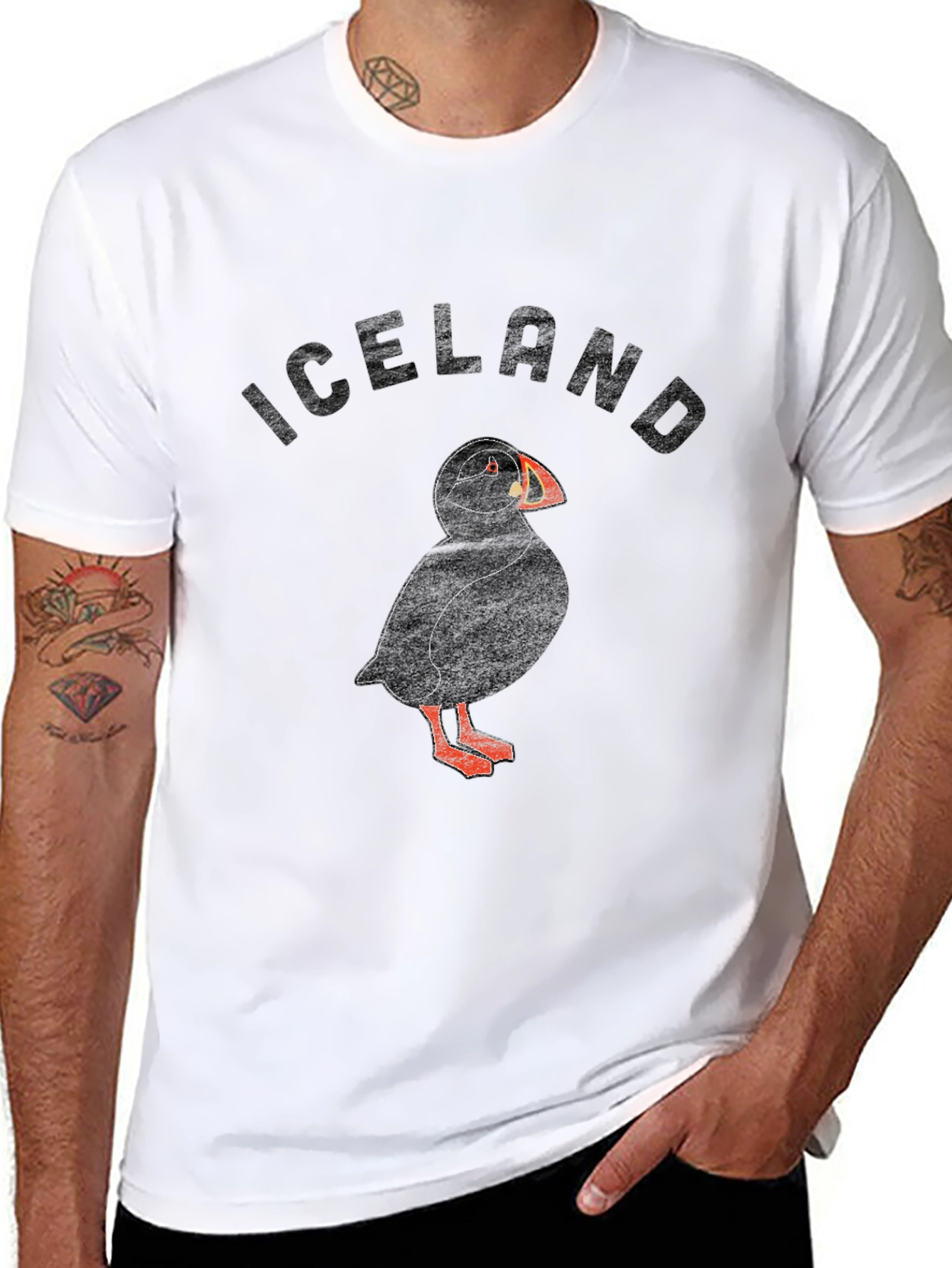 Iceland Puffin Graphic T-Shirt - Black