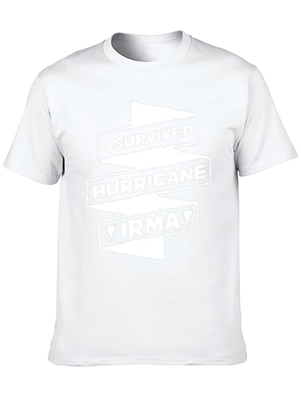 I Survived Hurricane Irma T-Shirt