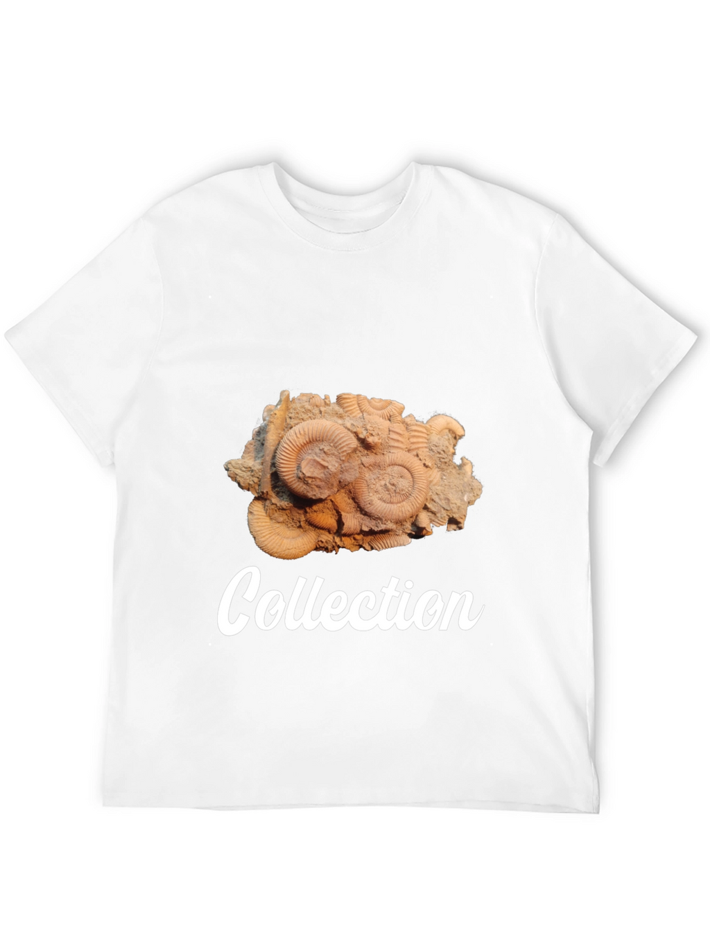 Fossil Collection Black T-Shirt