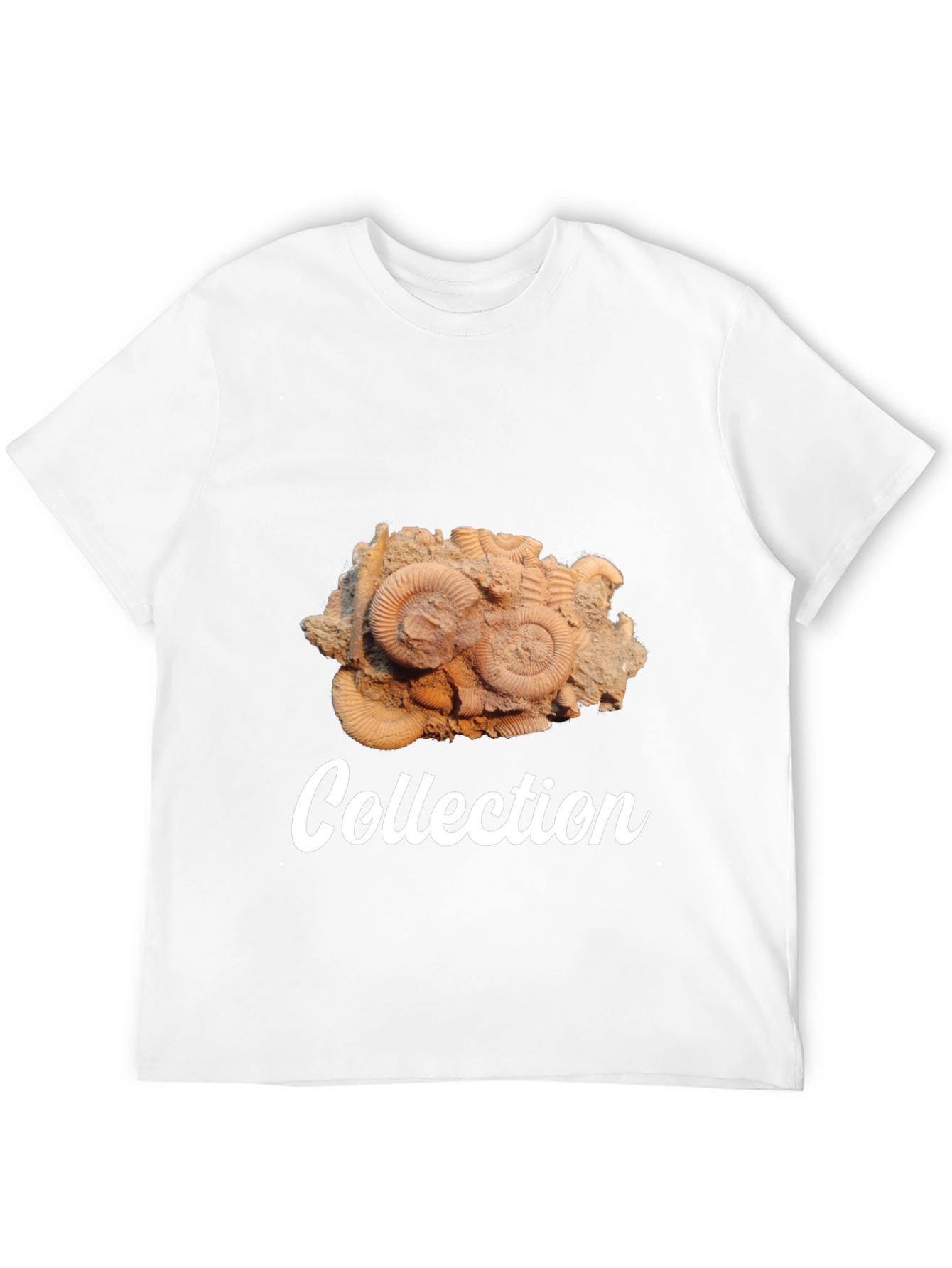 Fossil Collection Black T-Shirt