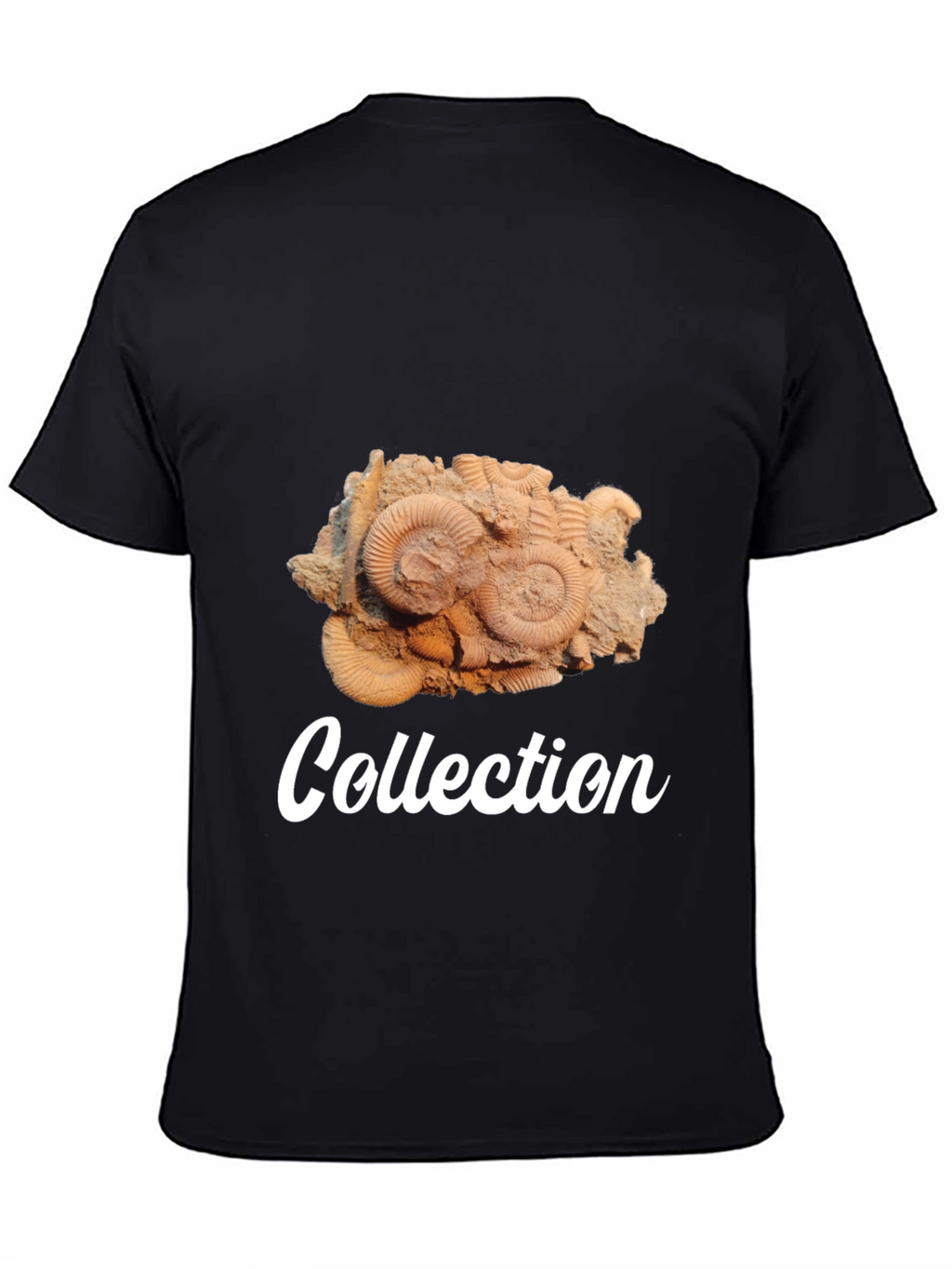 Fossil Collection Black T-Shirt