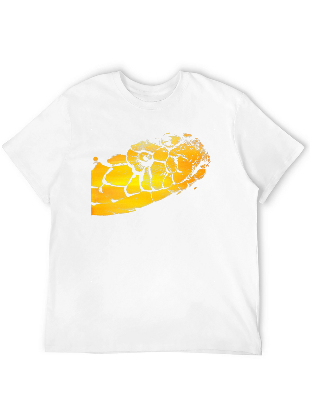 Black T-Shirt with Snake Graphic
