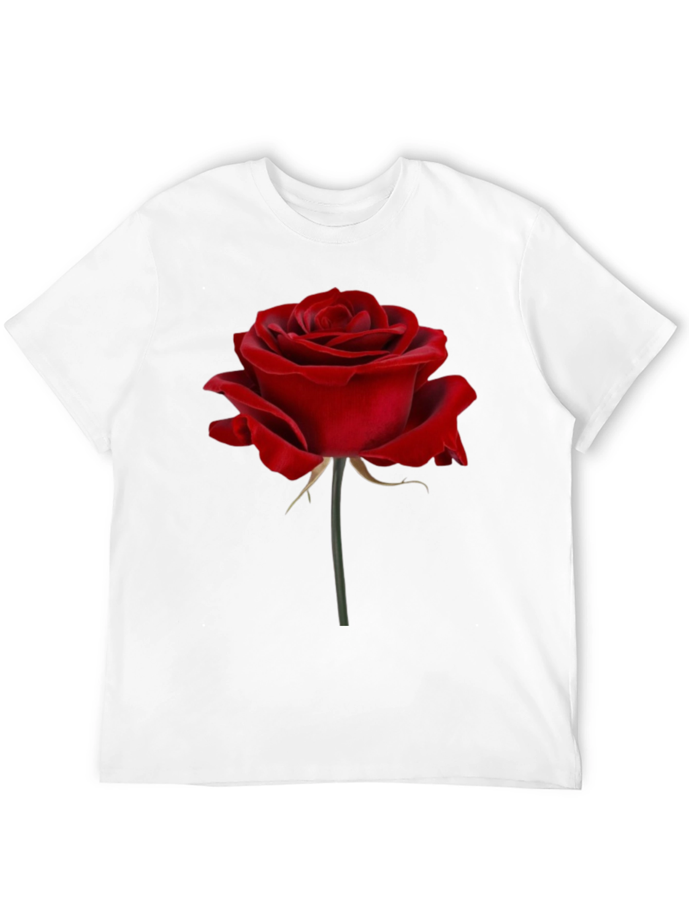 Red Rose Graphic Print T-Shirt