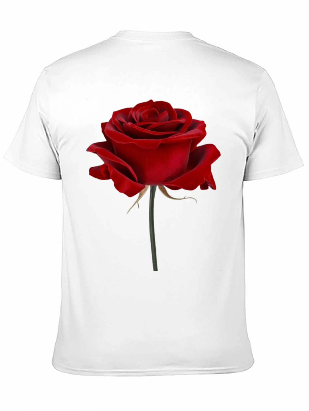 Red Rose Graphic Print T-Shirt