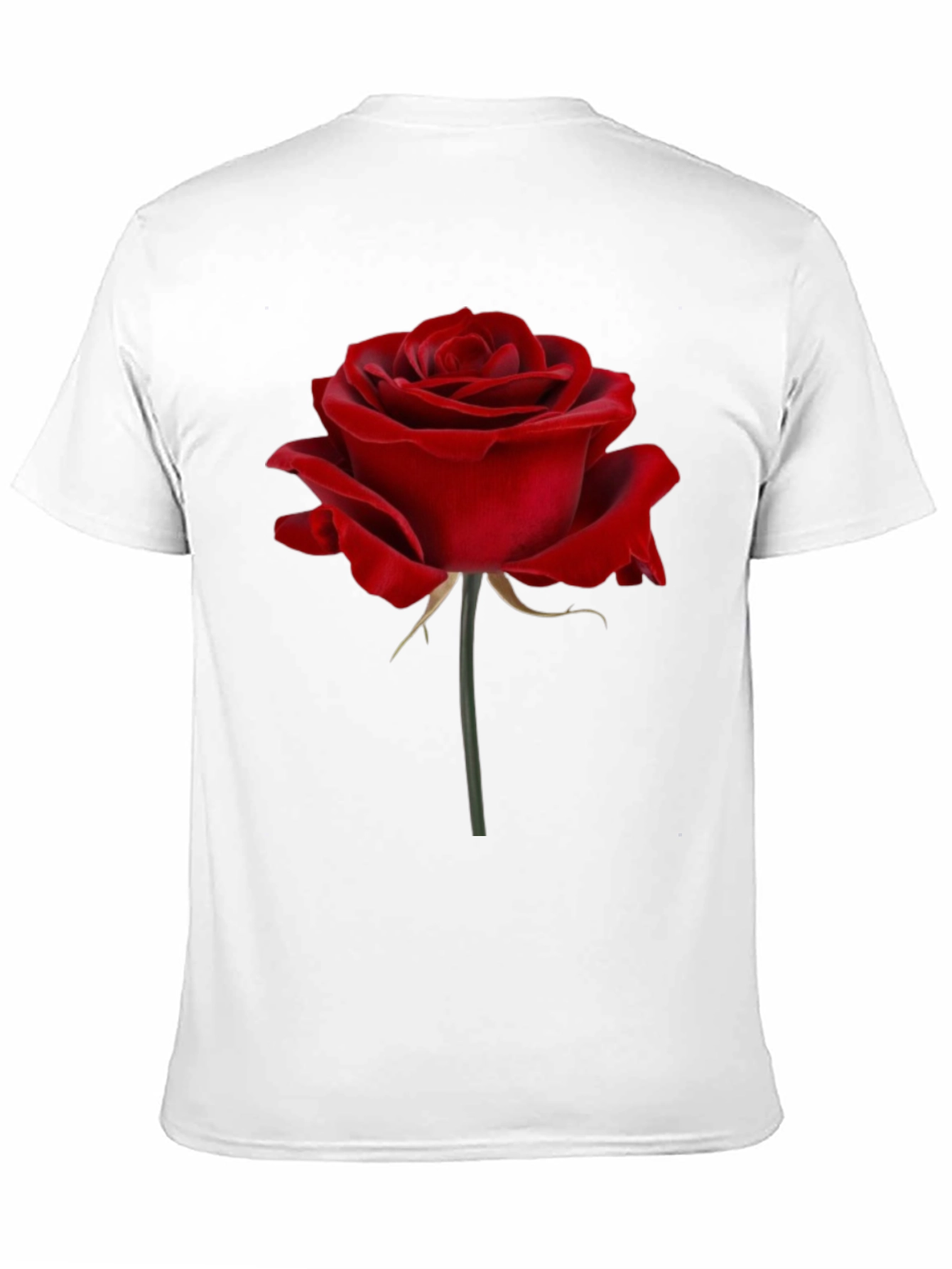 Red Rose Graphic Print T-Shirt