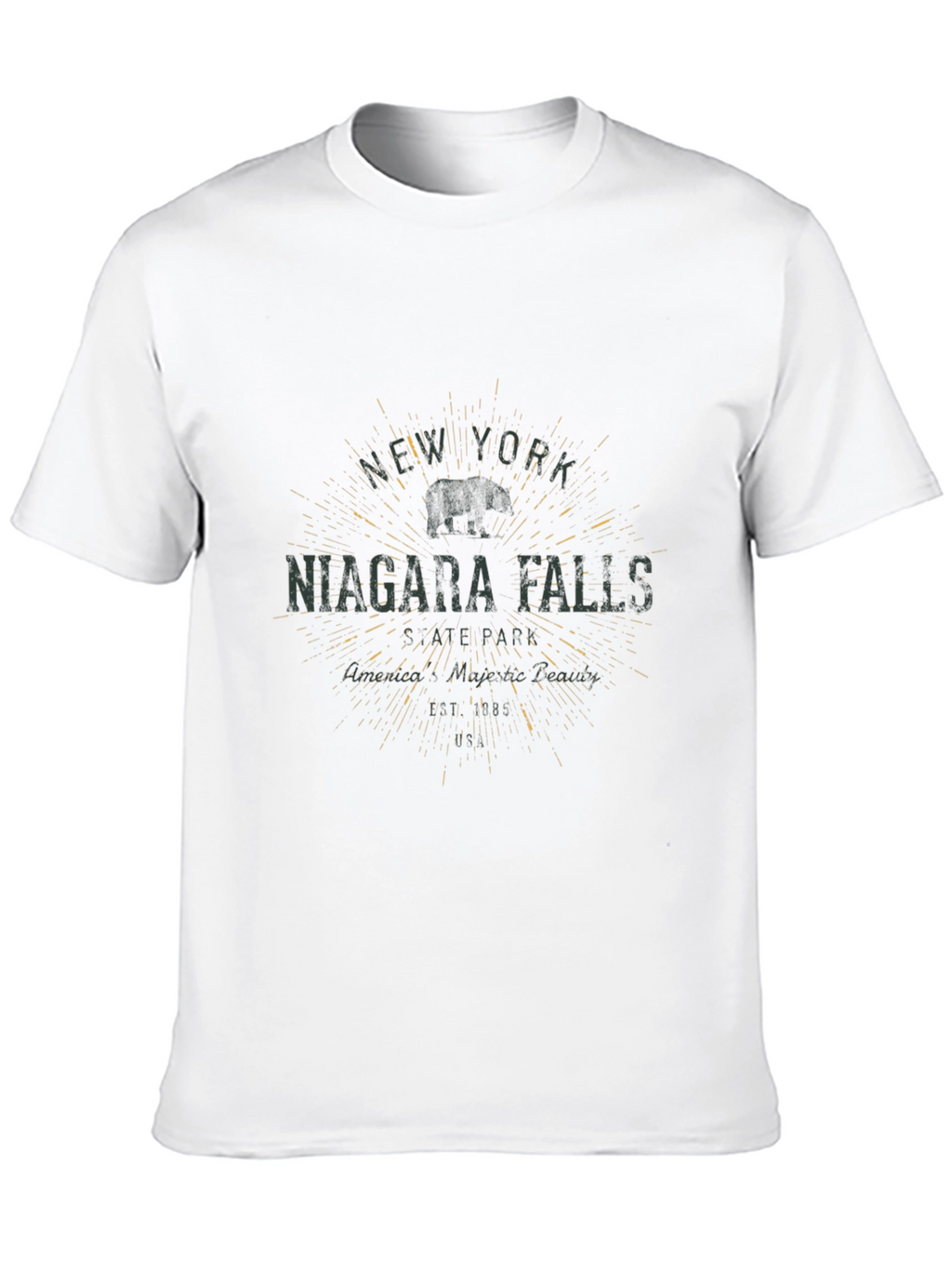 Niagara Falls NY Graphic T-Shirt