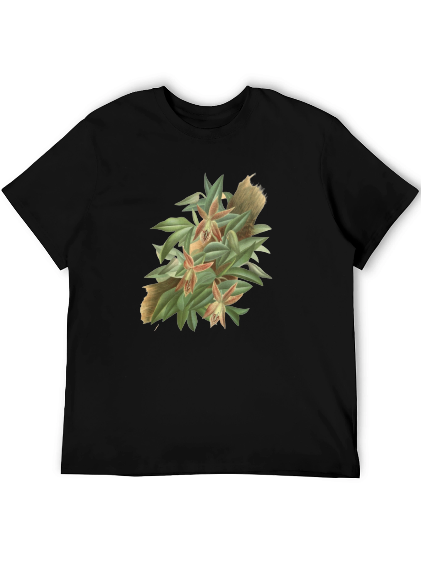 Botanical Graphic Tee - Artistic Nature T-Shirt
