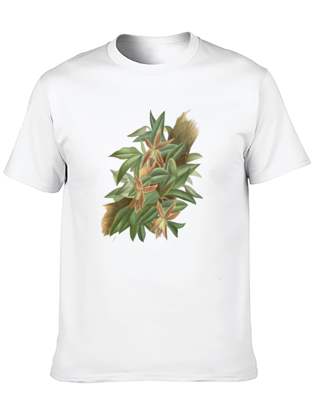 Botanical Graphic Tee - Artistic Nature T-Shirt