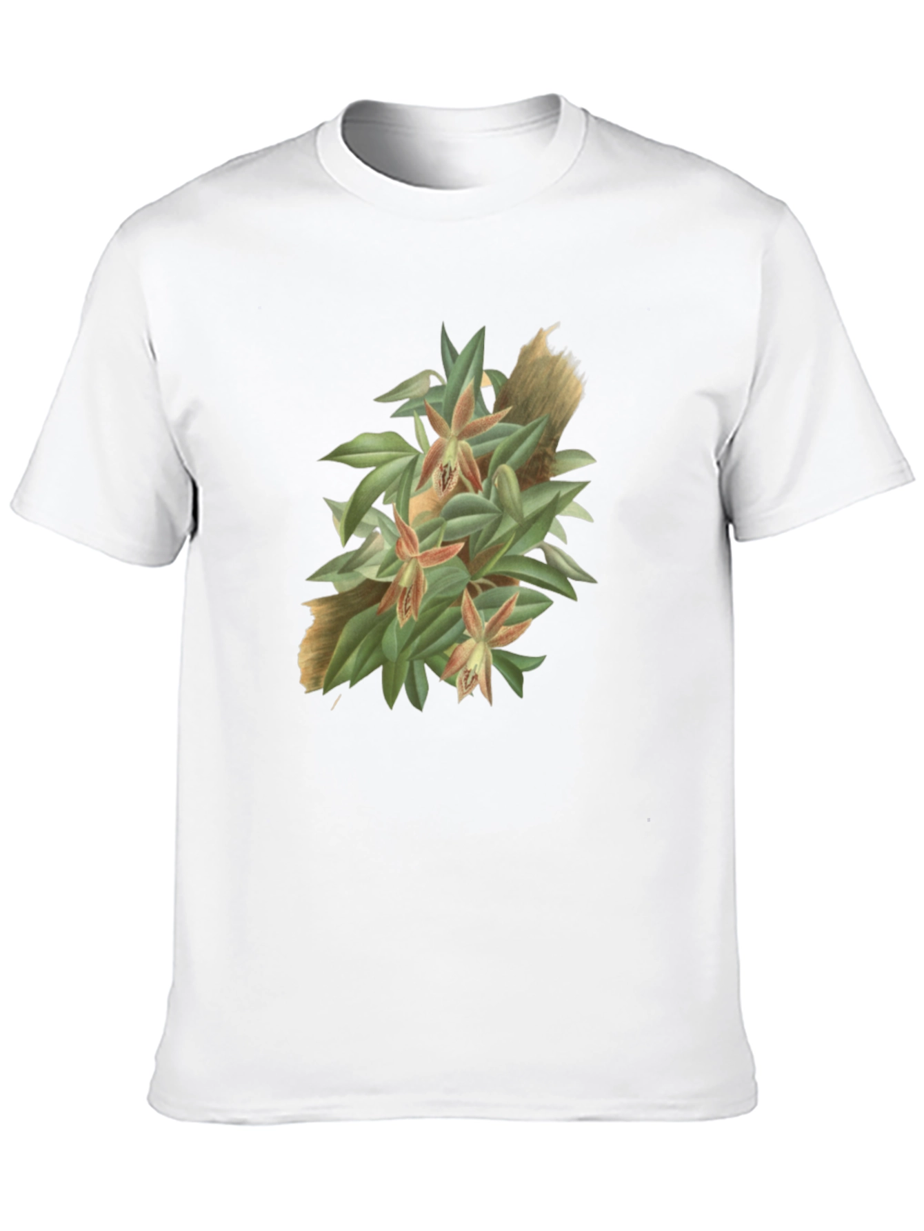 Botanical Graphic Tee - Artistic Nature T-Shirt