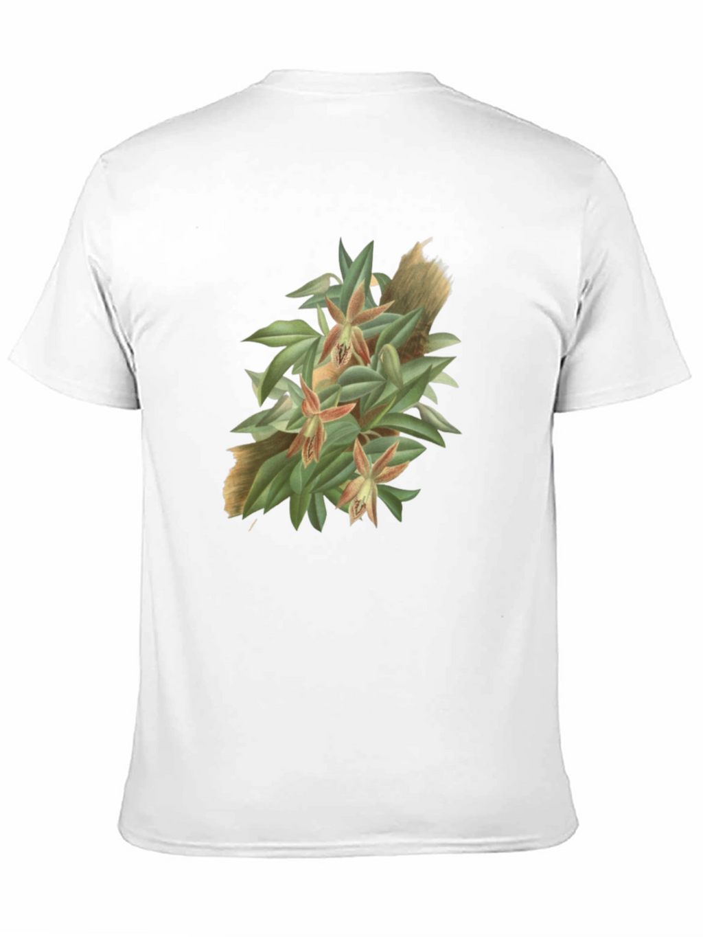 Botanical Graphic Tee - Artistic Nature T-Shirt
