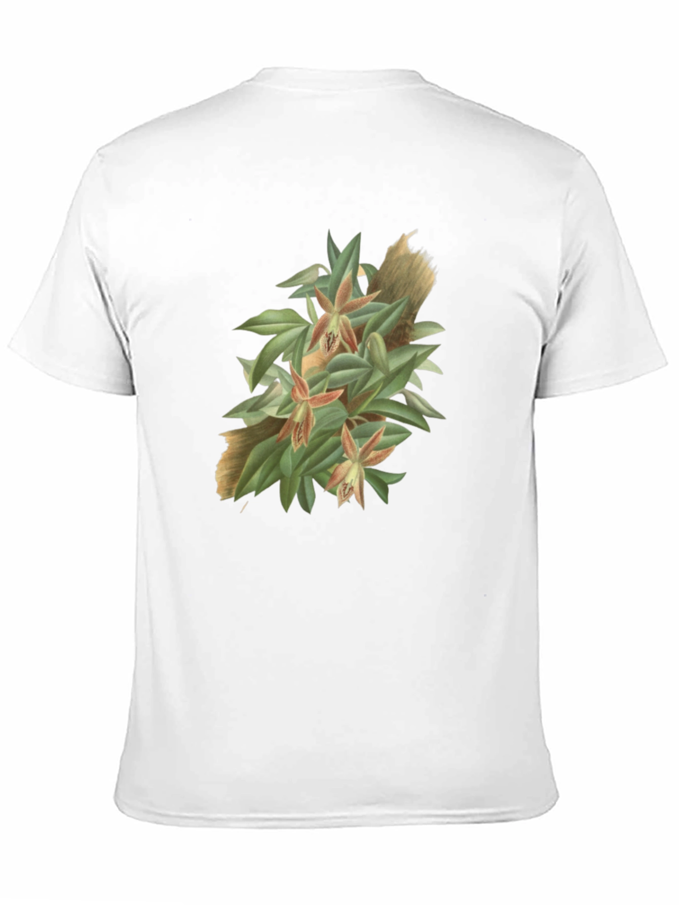 Botanical Graphic Tee - Artistic Nature T-Shirt