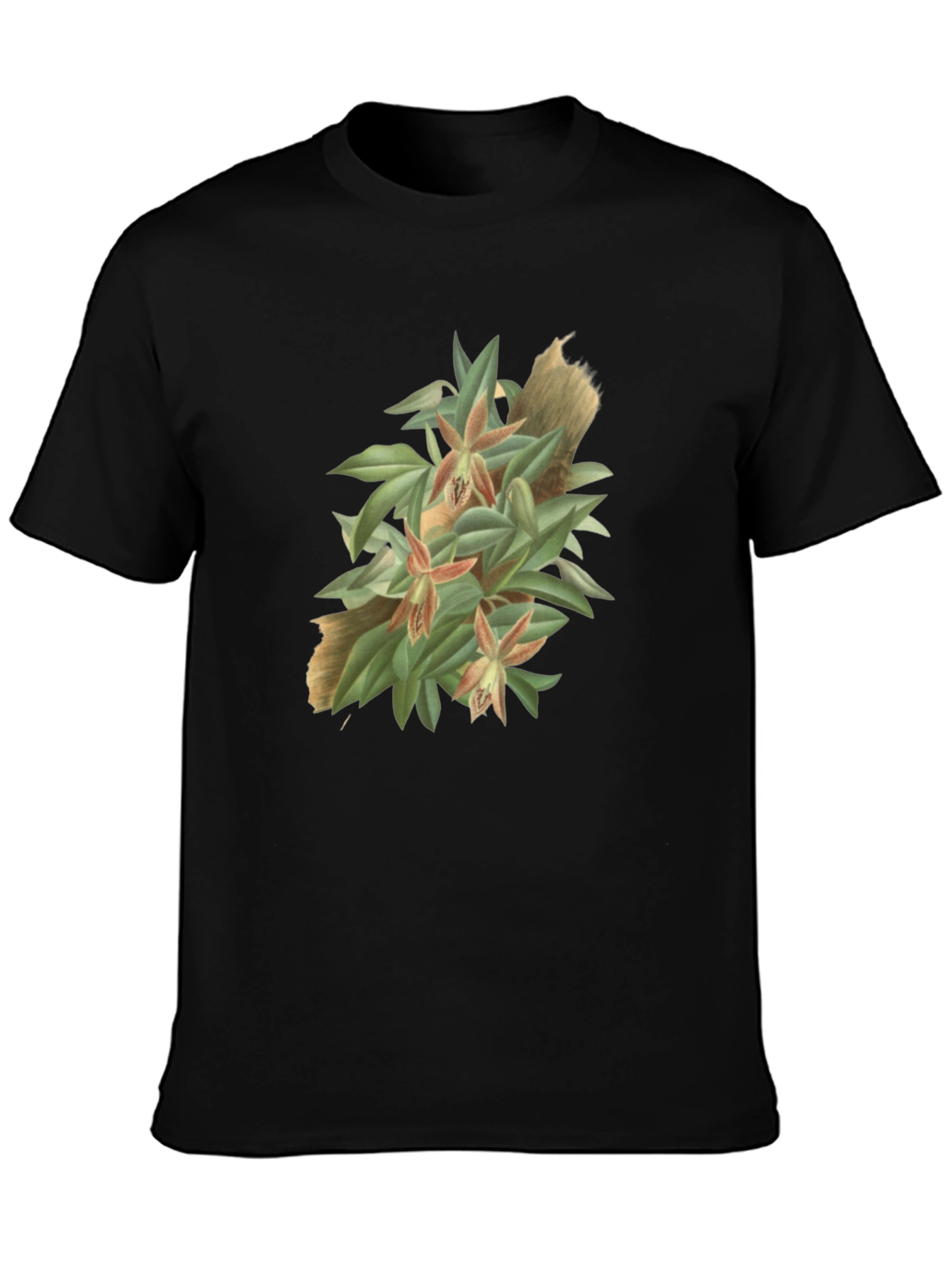 Botanical Graphic Tee - Artistic Nature T-Shirt